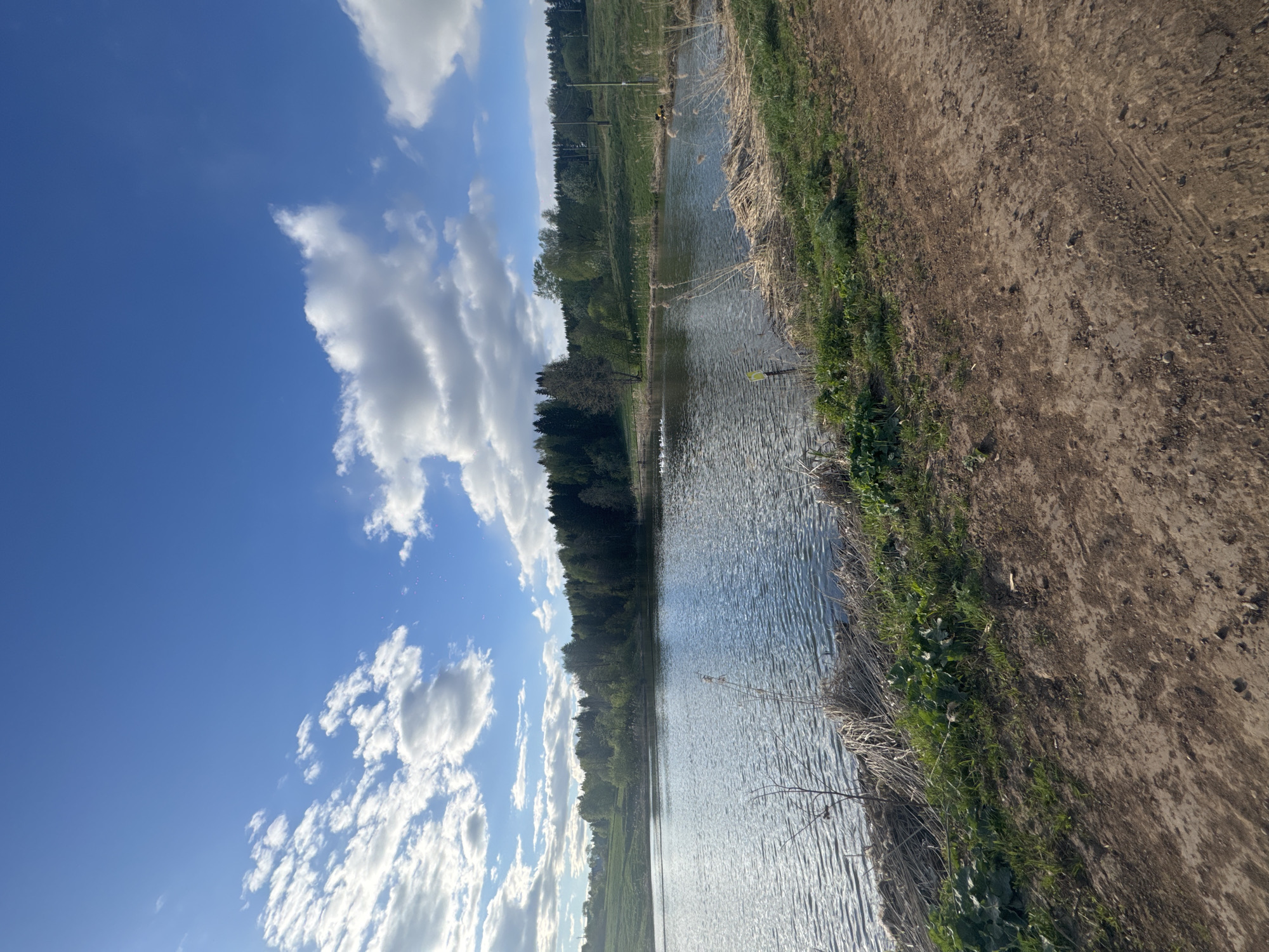 A horizontal landscape depicts a narrow body of water flanked by land on either side, under a blue sky with scattered white clouds. The left side of the water is bordered by a forested area with a mix of evergreen and deciduous trees. The right side features a dirt path or bank with grassy vegetation. The image is rotated clockwise by 90 degrees. No people or interactions are visible. The scene likely represents a natural or semi-natural environment near Ol'khovochka, Russia, potentially a lake or pond with a walking path alongside.