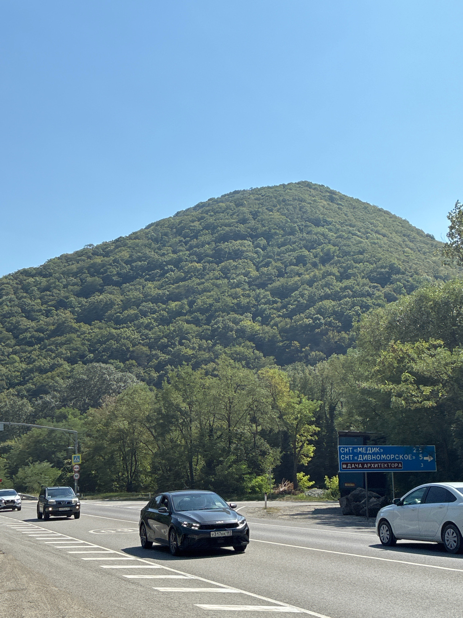 The image depicts a sunny day in Shirokaya Schel, Russia. A dense, tree-covered mountain dominates the background. In the foreground, a multi-lane road runs horizontally across the frame. Several cars are driving on the road, including a black Kia, a dark SUV, and a white sedan. On the right side of the road, a blue directional sign indicates "SNT "MEDIK"" with a distance of 2.5 km, "SNT "DIVNOMORSKOE"" with a distance of 5 km and an arrow pointing right, and "DACHA ARKHITEKTORA" with a distance of 3 km. Traffic lights and road signs are visible on the left side of the road. The environment is lush and green, with trees lining the roadside and extending up the mountain. The sky is clear and blue.