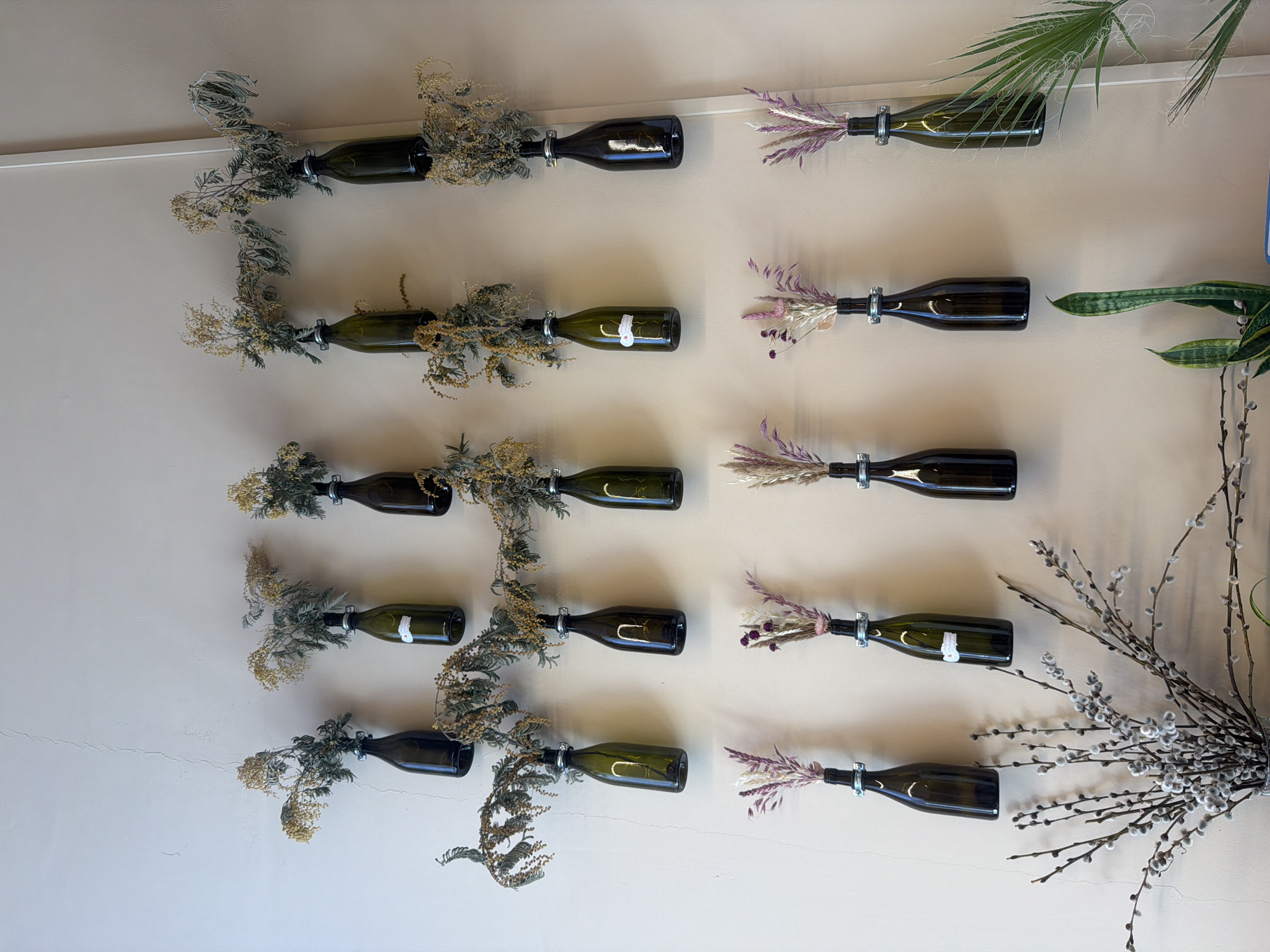 The image depicts a wall in an indoor setting, likely a cafe or shop, decorated with a series of dark green glass bottles repurposed as vases, each holding dried floral arrangements. The bottles are hung in three horizontal rows. The top row has three bottles, with dried branches and yellow flowers protruding from them, creating a cascading effect. The middle row mirrors the top, also with three bottles and similar floral arrangements, though the branches appear more delicate. The bottom row features four bottles, each containing a small, colorful dried bouquet in shades of pink, white, and purple. In the lower left of the image, a large arrangement of pussy willow branches is visible in a vase on the floor. To the right of the pussy willows, a snake plant and a palm frond add a touch of greenery. The wall itself is a neutral, light beige color with a slight texture and a thin vertical white molding on the far right. The lighting is soft and diffused, suggesting an indoor environment with ambient light. There are no people visible in the image.