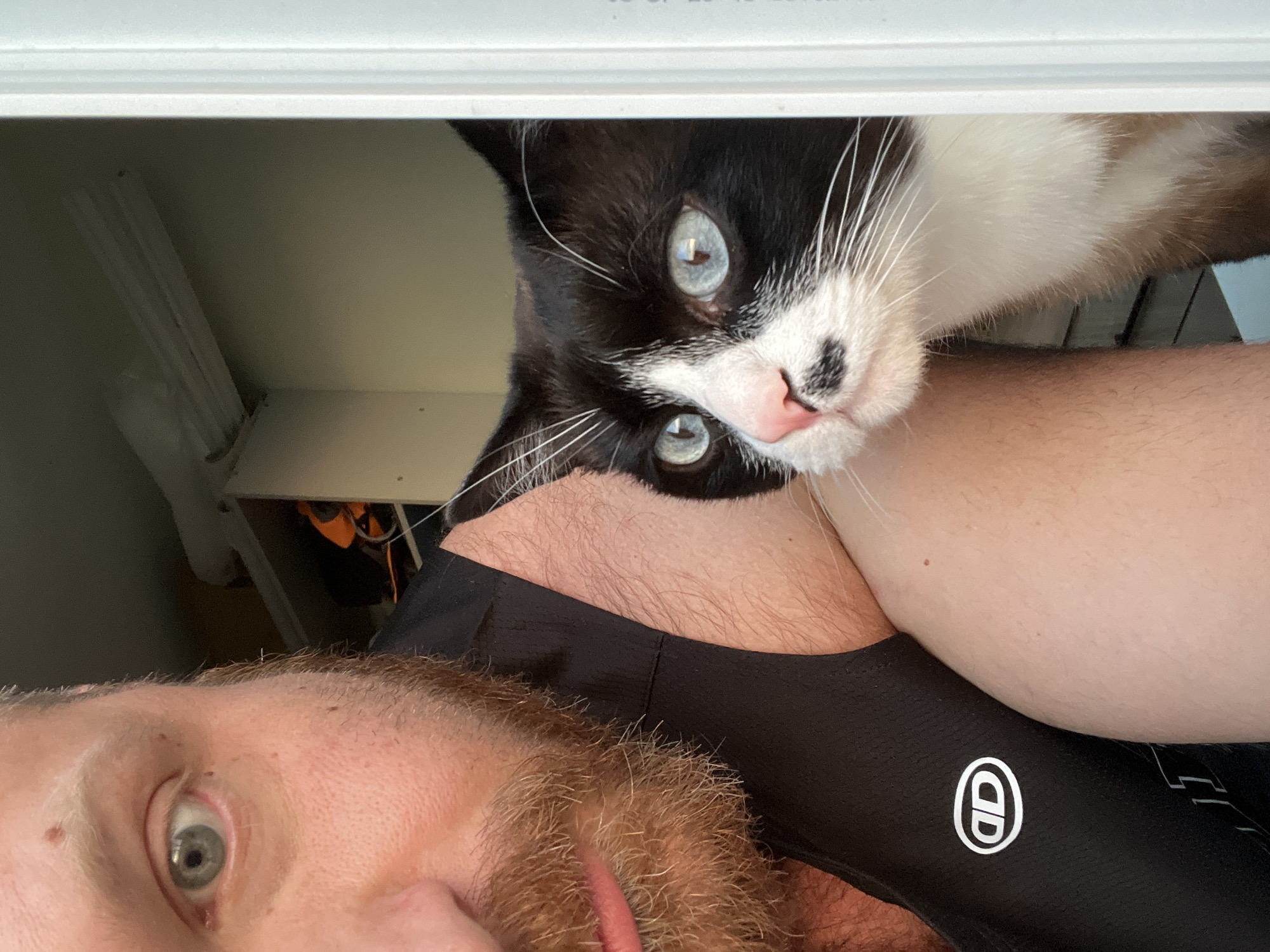 A selfie shot, featuring a man with a reddish-brown beard and a cat with black and white fur and piercing blue eyes. The man's face is partially visible in the foreground, with one eye clearly visible. The cat is positioned above the man, resting on his shoulder. The cat's fur is predominantly black on its head, with white patches around its mouth and extending down its chest. The man is wearing a black athletic shirt with a white logo on the right side. The background appears to be an interior space, possibly a shelf or cabinet, with some objects visible in the distance. There is also a date stamp on the top of the picture. There is no information to determine whether the location is Noviy, Russia.