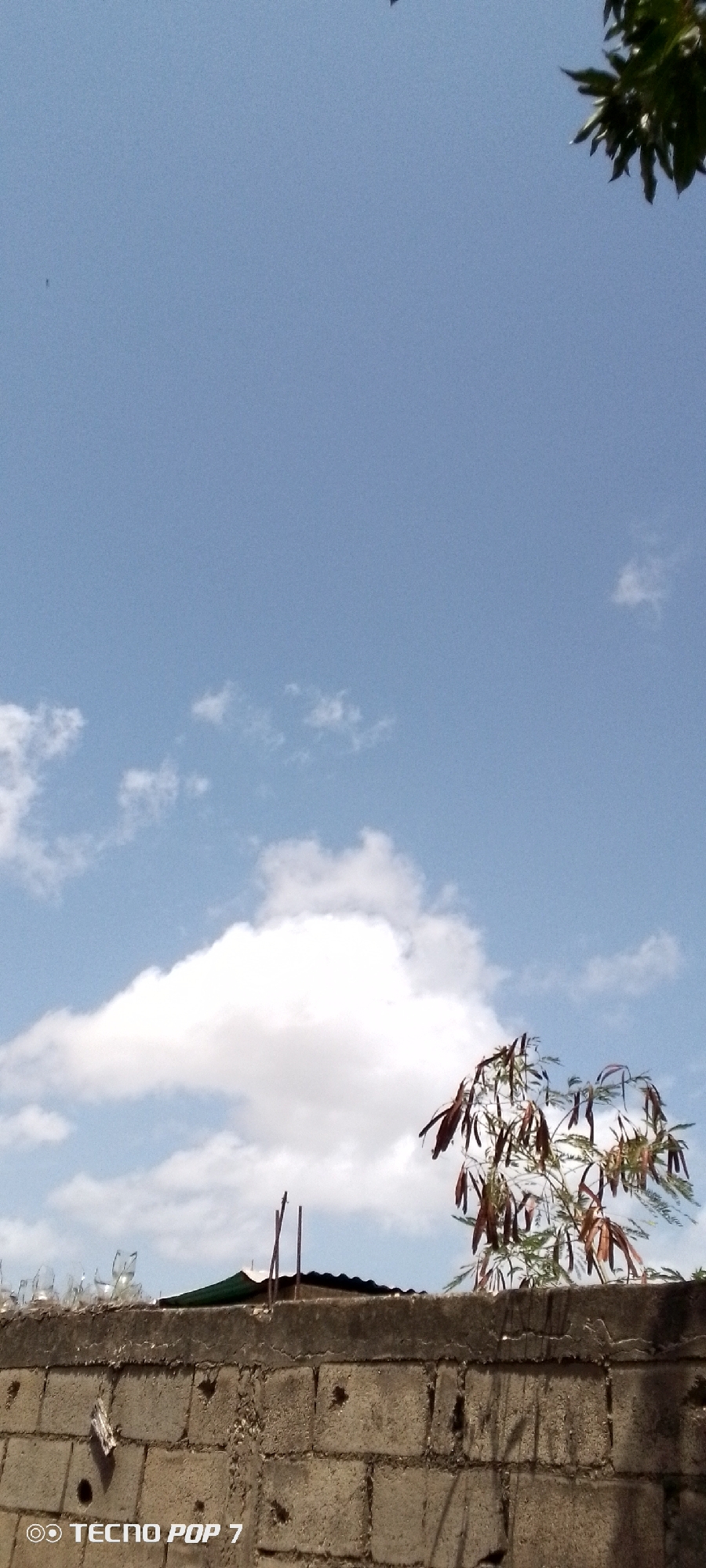 The image depicts a sunny sky with scattered clouds above Altagracia, Venezuela. In the lower portion of the frame, a concrete block wall is visible, topped with metal rods. A tree with reddish-brown seed pods is positioned behind the wall. Green foliage is visible in the upper right corner. The sky is blue. The phone "Tecno POP 7" watermark is visible in the lower left corner of the image.