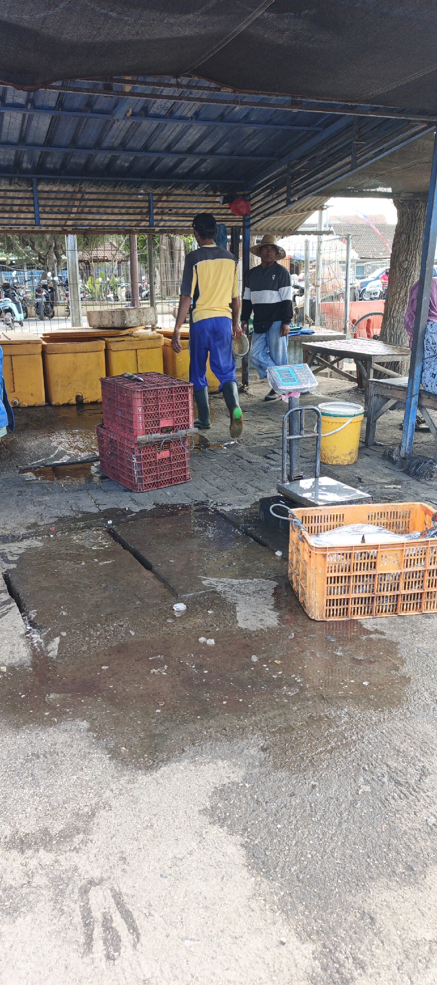 In Puger, Indonesia, an outdoor fish market operates under a weathered blue metal canopy. Two men are visible. One, wearing a yellow and black shirt and blue pants, walks away from the viewer. The second man, sporting a straw hat and a black and white striped shirt, stands near a scale. Several yellow plastic containers and red crates are stacked, some containing fish, on the wet concrete ground. An orange crate filled with fish is also present. In the background, motorcycles and buildings are visible.