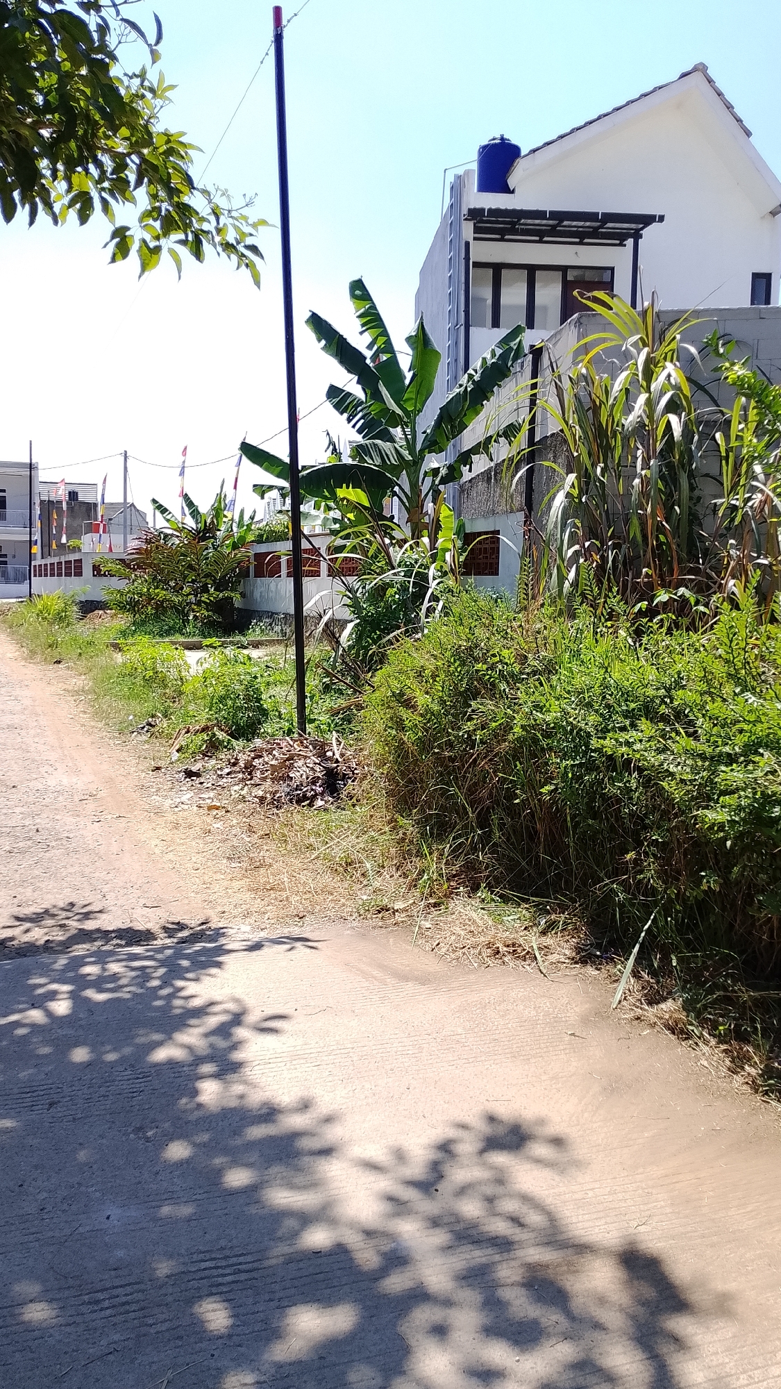 The image shows a street scene in Cangkuang, Indonesia. A dirt road leads into the frame from the left, with shadows of leaves cast on its surface. To the right of the road is a dense area of green vegetation, with dry grass and a pile of leaves in front of it. Behind the vegetation, a white two-story house with a blue water tank on its roof is visible. The house has a modern design with dark-framed windows. Various flags are seen in the distance, suggesting a possible public event or celebration. Banana trees and tall green stalks are interspersed among the plants. A dark pole stands prominently in the middle ground. The sky is clear and blue.