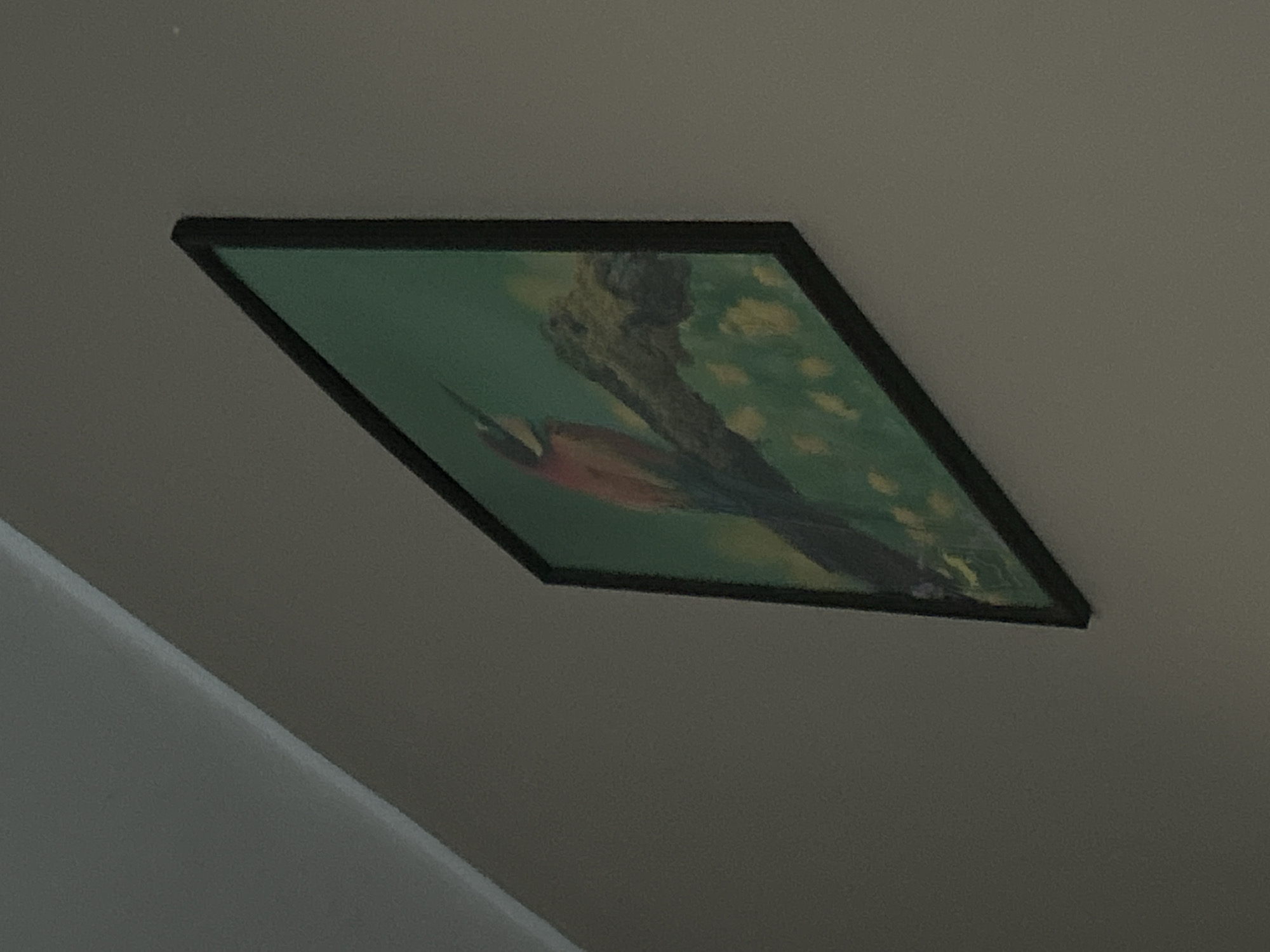 A low-angle, medium shot depicts a framed painting affixed to a neutral-colored ceiling. The painting features a bird perched on a tree branch against a backdrop of green foliage and yellow spots. The frame is dark, possibly black. The location is Unknown, Unknown.