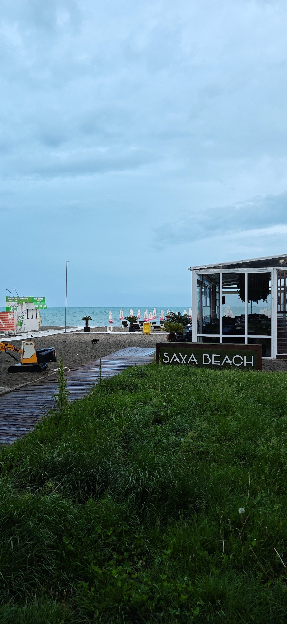 The image shows Saxa Beach in Burgas, Bulgaria on a cloudy day. The beach is visible, with rows of closed umbrellas and lounge chairs set up. A small, yellow construction vehicle sits on the sand. A brown sign reading "SAXA BEACH" is prominently displayed near a modern, glass-walled structure that appears to be a restaurant or beach club. Green grass fills the foreground. A small, black dog stands on the beach. The sky is overcast.