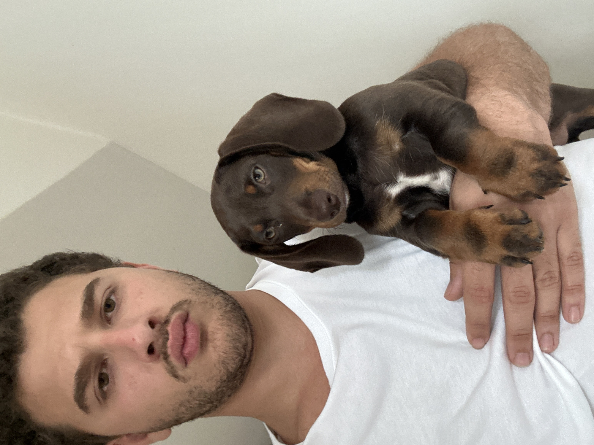A man with dark curly hair, a light beard, and light brown eyes is holding a brown and tan dachshund puppy. The man is wearing a white t-shirt. The puppy is resting on the man's hand and arm. The location appears to be indoors, with a white wall in the background. The location in the city of Raanana, Israel cannot be confirmed with the available information.