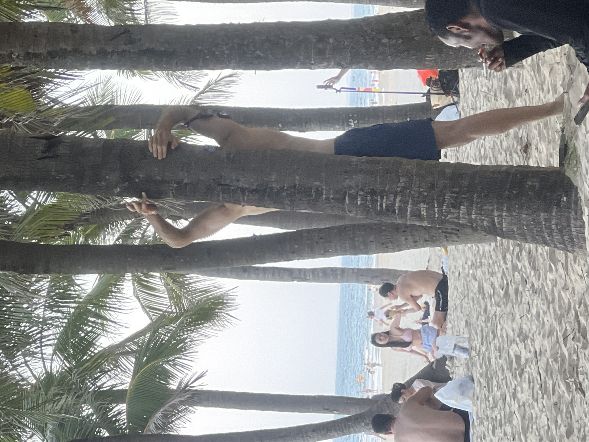 The image depicts a beach scene in Da Nang, Vietnam, with multiple palm trees in the foreground casting shadows on the sand. In the mid-ground, several individuals are visible. One person, partially obscured by a palm tree trunk, appears to be standing and reaching towards it, wearing dark shorts. To the left, a couple sits on the sand, the woman wearing a pink bikini top and light blue shorts, and the man in black shorts. Another person is seated to the right, in the foreground, smoking a cigarette and holding a phone. In the background, the ocean is visible with people wading and standing in the water, along with some beach umbrellas and structures. The overall lighting suggests it is daytime, possibly late afternoon given the shadows.
