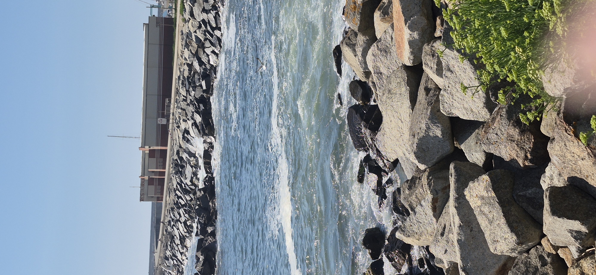 The image shows a rocky shoreline leading to a building with "RESTAURANT" signage in Vila do Conde, Portugal. The ocean is visible with waves crashing against the rocks. The sky is clear and blue. A seagull is in flight above the water. There are no people clearly visible in the scene. The building appears to be a single-story structure with a horizontal striped facade.