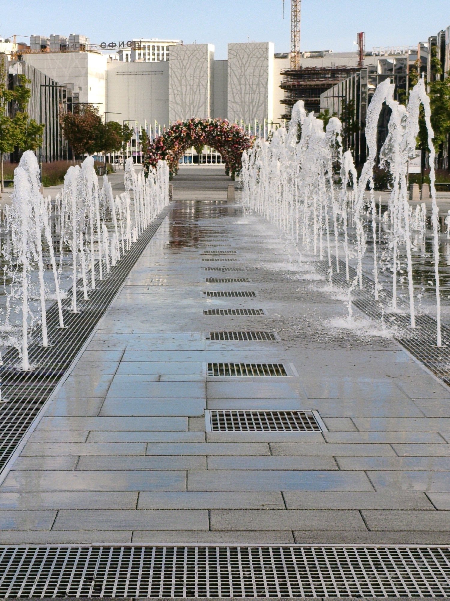 An eye-level, vertical, full outdoor shot shows a modern plaza with multiple rows of water fountains spraying upwards. The plaza is paved with large, light gray rectangular stones that are wet from the water. Metal grate drains are visible in rows between the stone pavers, along the edges of the fountain rows. The fountains are arranged in multiple parallel lines, with the closest line to the viewer on the left and extending into the background. The water from the fountains creates a frothy, white spray.
In the background, a decorative floral archway made of pink, red, and yellow flowers is visible, spanning across a walkway. Beyond the archway, modern buildings with glass facades and some construction scaffolding are present. A sign with Cyrillic lettering, "ОФИСЫ," meaning "OFFICES," is mounted on one of the buildings. Trees with green and red foliage are planted along the sides of the plaza. The sky is clear and a light blue. The scene appears to be a public space in an urban setting, likely a park or pedestrian area in front of office buildings.