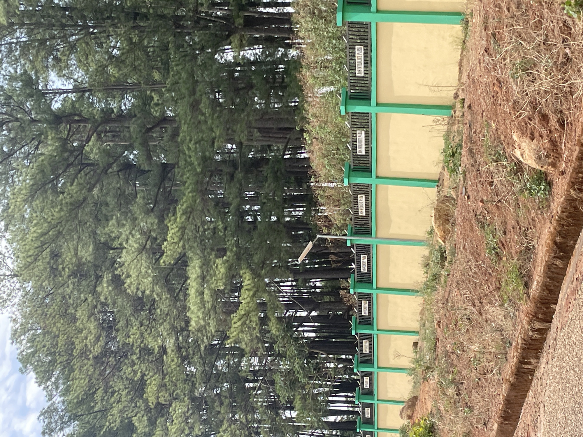 The image depicts a view of Jos Wildlife Park in Jos, Nigeria. Tall evergreen trees line the left side of the frame. Adjacent to the trees is a series of informational signs mounted on a structure with green frames and tan-colored panels. The signs bear the text "JOS WILDLIFE PARK". A somewhat barren, earthy slope is situated beside the sign structure. A paved walkway runs along the bottom right corner of the image. The sky is visible in the upper left, with scattered clouds.
