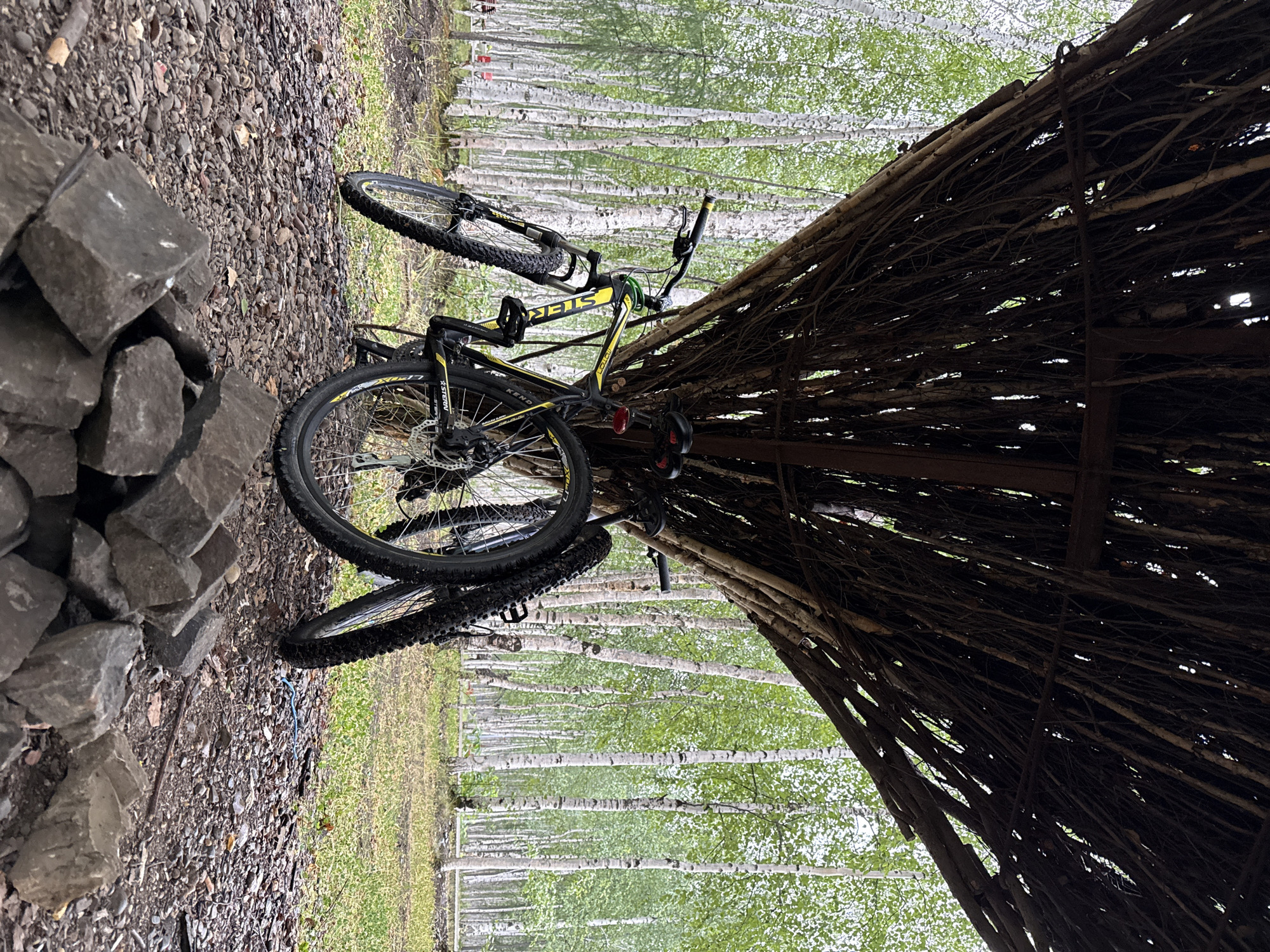 Two bicycles are parked under a natural, rustic shelter made of branches and wood in Mirny, Russia. The shelter's roof is intricately woven with thin branches, creating a textured canopy overhead, and is supported by thicker wooden beams. The bicycles, one primarily black with yellow accents and the other mostly black, are positioned close together. The front bicycle is leaning to the left, with its front wheel turned outward. The second bicycle is to its right, partially obscuring the first. Both bicycles have knobby tires, suggesting they are mountain bikes.
The ground beneath the shelter is covered in small stones and fallen leaves. In the foreground, a pile of large, dark gray stones is arranged. Beyond the shelter, a dense forest of birch trees dominates the landscape. The trees are characterized by their white bark and abundant green foliage, creating a striking contrast with the darker, more textured shelter. The overall environment appears to be an outdoor recreational area or park within Mirny. There are no people visibly present in the immediate vicinity of the bicycles.