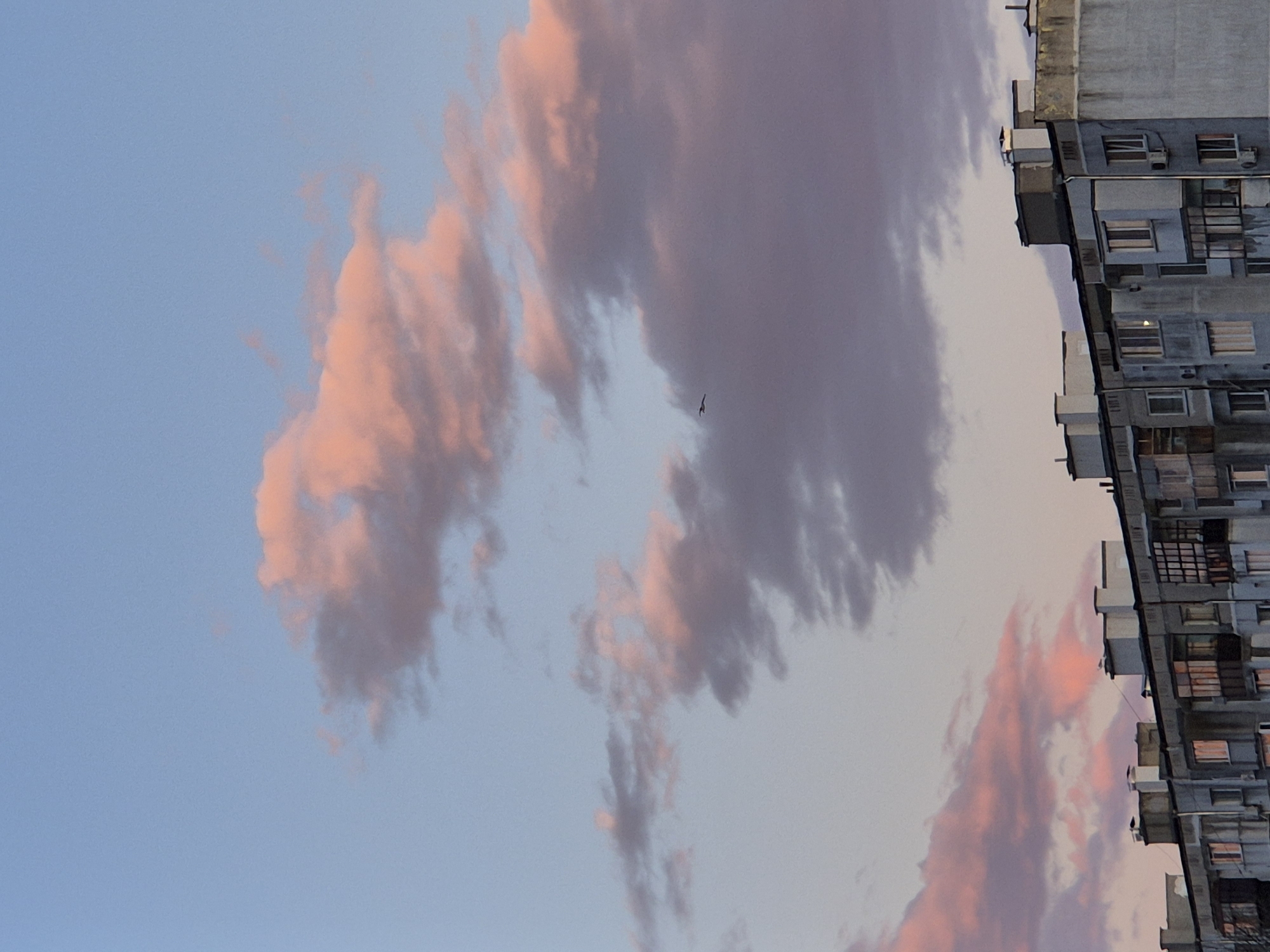 The image shows a section of Varna, Bulgaria at either dusk or dawn. Pink and gray clouds are visible in the sky. Adjacent to the clouds is the side of a tall concrete apartment building with many windows and air conditioning units. The building is gray and appears to be aging. A bird is visible in the sky.