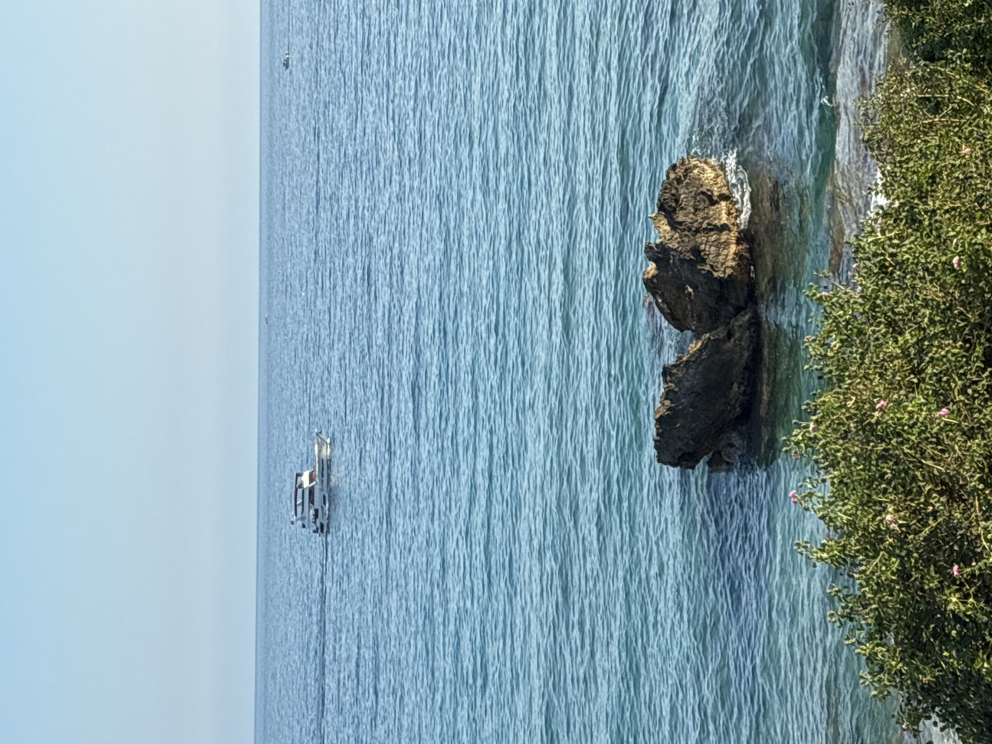 A medium shot captures a view of the Mediterranean Sea, with a clear, pale blue sky above. In the foreground, lush green bushes with small pink flowers line the bottom edge of the frame, meeting the turquoise water. Just beyond the bushes, a cluster of dark, rugged rocks juts out from the sea, with small waves lapping at their base. Further out in the water, a white motor yacht with a red trim is sailing from left to right, leaving a subtle wake. The horizon is clean and straight, with the sea and sky meeting in a gentle gradient. The scene appears to be a serene coastal view in Alanya, Turkey, likely from a higher vantage point overlooking the water.
