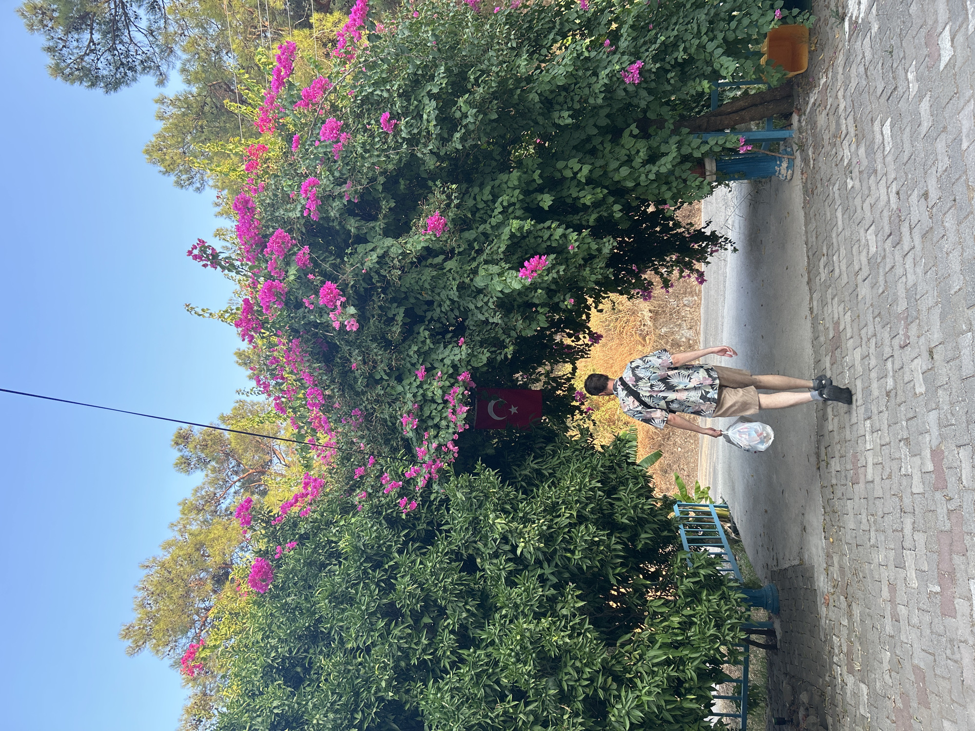 A man walks away from the camera through an archway formed by lush green bushes and bright pink bougainvillea flowers. He is wearing a floral print short-sleeved shirt, khaki shorts, and black shoes, and is carrying a white plastic bag. A Turkish flag hangs from the archway, partially obscured by foliage. The path is paved with light-colored brick. The scene appears to be a residential area in Ortaca, Turkey, given the presence of bougainvillea, Turkish flag, and typical residential architecture. The sky is clear and blue.