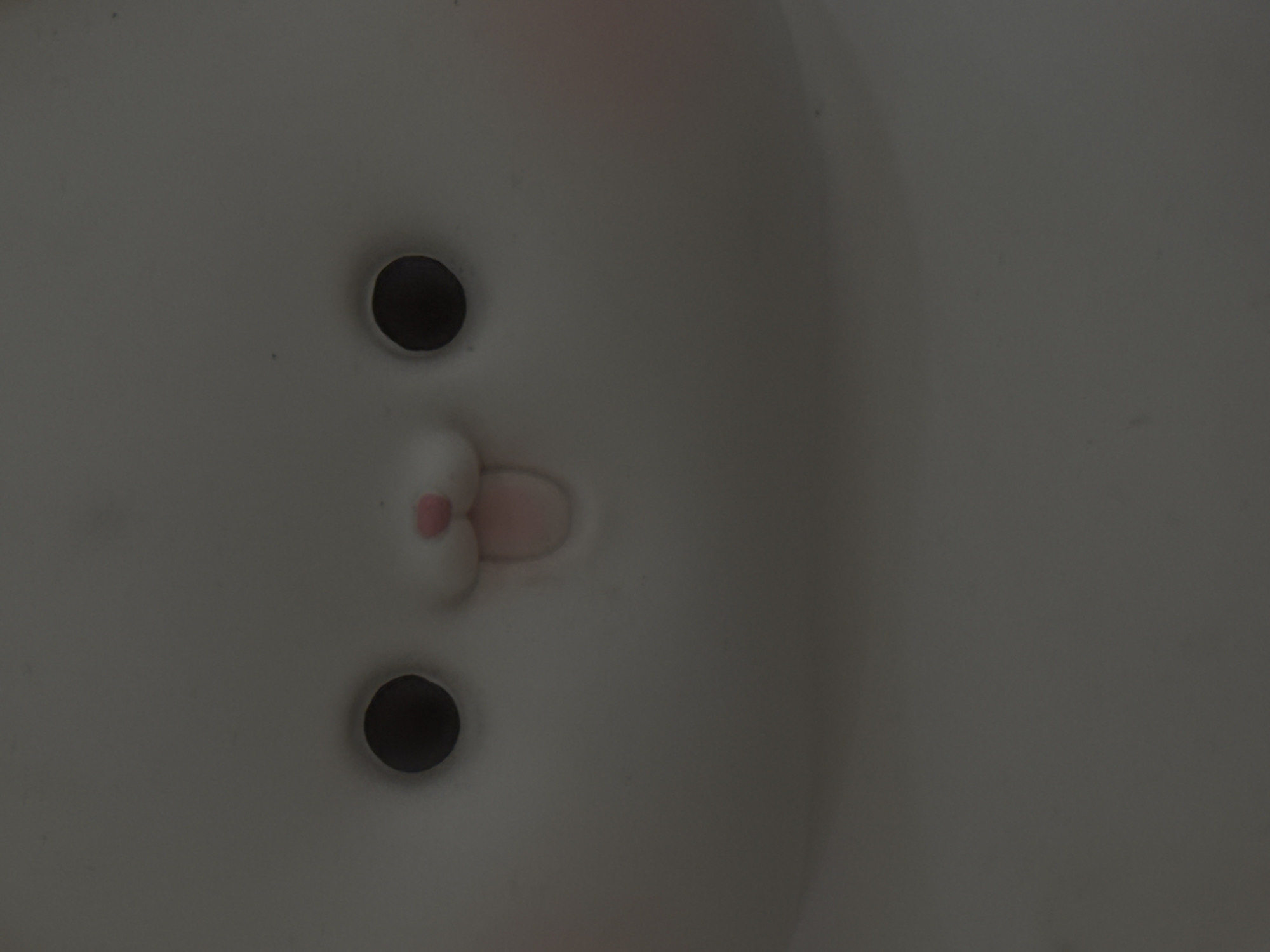 The image is a close-up, low-angle shot of a white, round, and smooth object with a face. The face consists of two dark, circular eyes and a small, pink, heart-shaped nose above a pink, tongue-sticking-out mouth. The object has rosy-pink circles on its cheeks. The lighting is dim, creating soft shadows and obscuring details of the environment. There is no information about the location in Moscow, Russia.