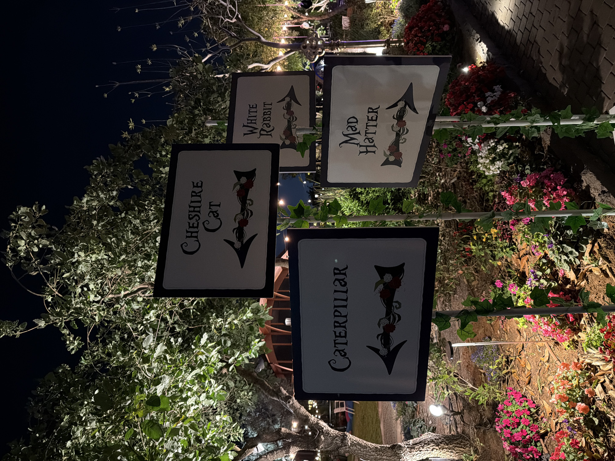 The image, taken at night, displays an outdoor, whimsical scene, likely themed after Alice in Wonderland. The primary subjects are four white, black-framed directional signs mounted on poles amidst trees and lush garden beds. Each sign features stylized black text and an arrow decorated with red and white roses.
From left to right in the vertical orientation, the visible signs read:
1. "CHESHIRE CAT" with an arrow pointing downwards.
2. "White RABBIT" with an arrow pointing upwards.
3. "Mad HATTER" with an arrow pointing upwards.
4. "CATERPILLAR" with an arrow pointing downwards.
The setting is illuminated by various artificial lights, including spotlights on the ground and string lights visible in the background, creating a glowing effect. The surrounding area is rich with foliage; trees with green leaves and some bare branches are prominent, particularly on the left. Below the signs, garden beds are filled with vibrant flowering plants in shades of red, pink, white, and purple. The ground is covered with natural debris and soil. In the upper right background, a paved surface resembling a brick path or wall is visible. Among the trees, a large, metal, key-shaped structure can be partially seen, further enhancing the fantastical theme. The scene appears to be an enchanting garden installation or part of a themed event. No people are visible.