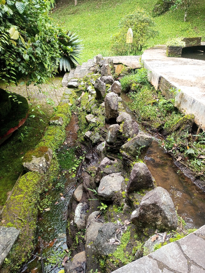 The scene depicts a landscaped outdoor area in Kanand, India. A narrow, man-made water channel runs diagonally through the midground, containing shallow, murky brownish water with submerged vegetation and debris. The channel's banks are composed of numerous irregularly shaped, moss-covered rocks, interspersed with green foliage. To the left of the channel is a wider, moss-covered stone or concrete structure with a dark reddish-brown edge visible in the foreground. To the right, a clean, light grey concrete pathway extends parallel to the channel. In the background, a verdant grassy slope ascends, dotted with sparse trees and shrubs. A small, light-colored rectangular sign on a pole is visible on the slope to the right. Further right, a segment of a concrete bench or planter is present on the edge of the pathway. To the left, a set of concrete stairs rises up the slope, partially obscured by dense green foliage. No individuals are visible, and no actions or interactions are depicted.