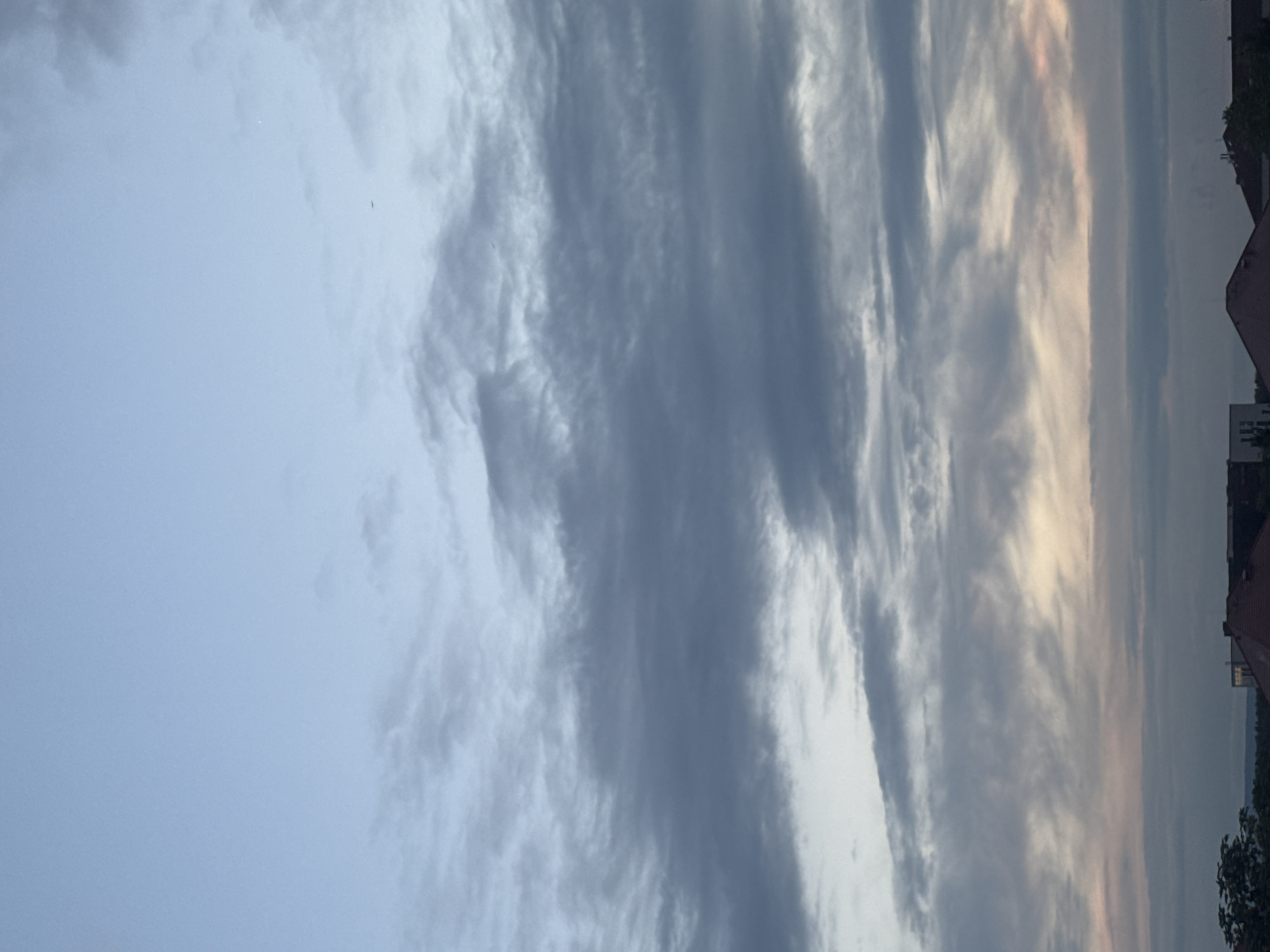 A landscape photograph captures a sky filled with a variety of clouds at dusk. The sky transitions from a pale blue at the top to darker grays and lighter whites as it descends towards the horizon. Wispy clouds are scattered throughout, with thicker, more substantial cloud formations dominating the mid-section of the image. A faint glow of orange and pink is visible near the bottom, suggesting the setting sun. Silhouetted against the horizon are the rooftops of buildings and the tops of trees, indicating an urban or suburban environment. There is a small, dark speck visible in the upper right quadrant that could be a distant bird or aircraft. The overall impression is one of a calm, overcast evening.