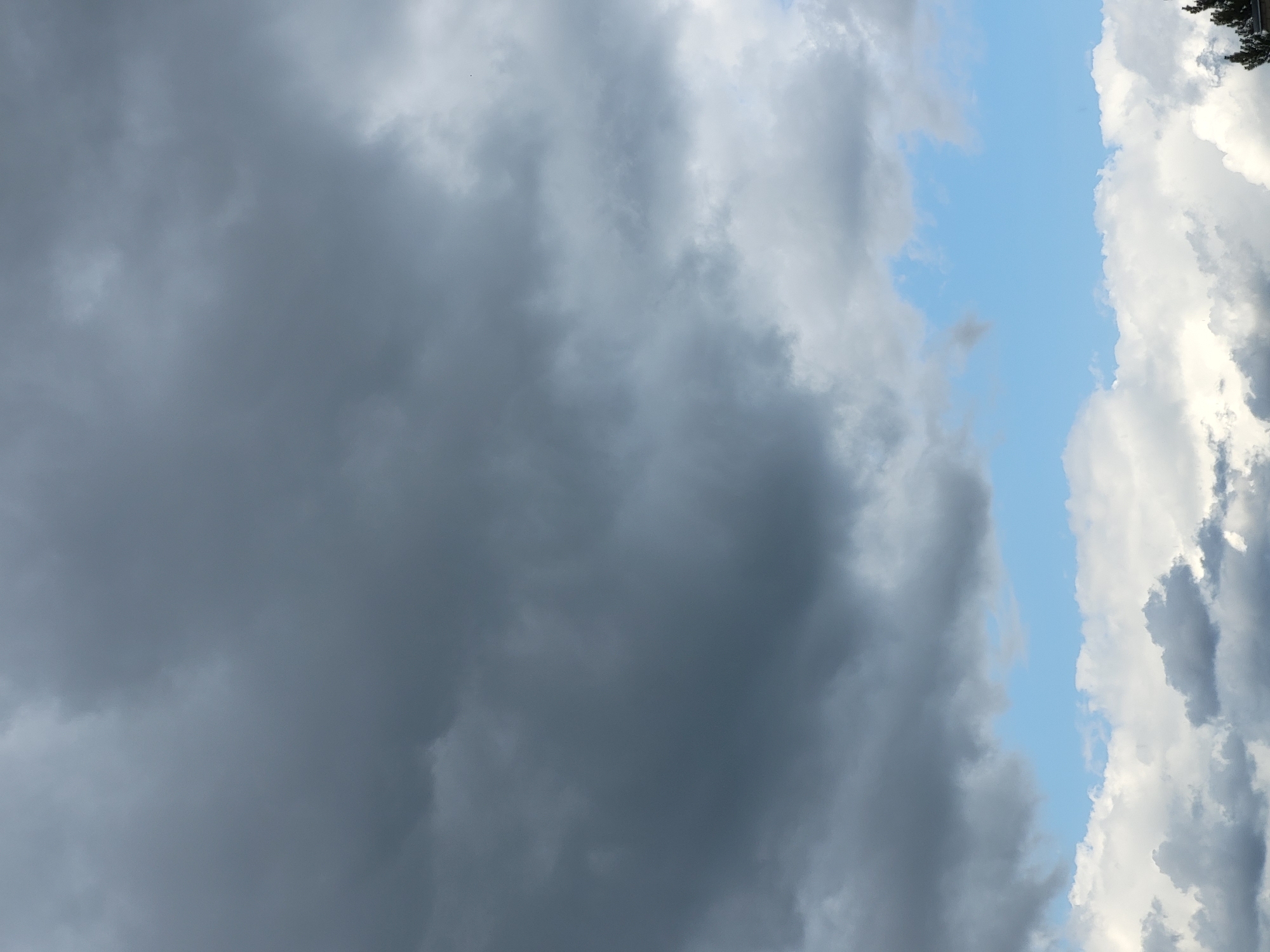 The image shows a sky filled with a mix of dark, grey clouds and patches of bright blue sky. Towards the bottom, there are lighter, fluffier white clouds. A small portion of a dark green evergreen tree is visible in the lower right corner. The scene appears to be an outdoor view of the sky, possibly on a day with changing weather conditions. The location is identified as Ozolnieki, Latvia.