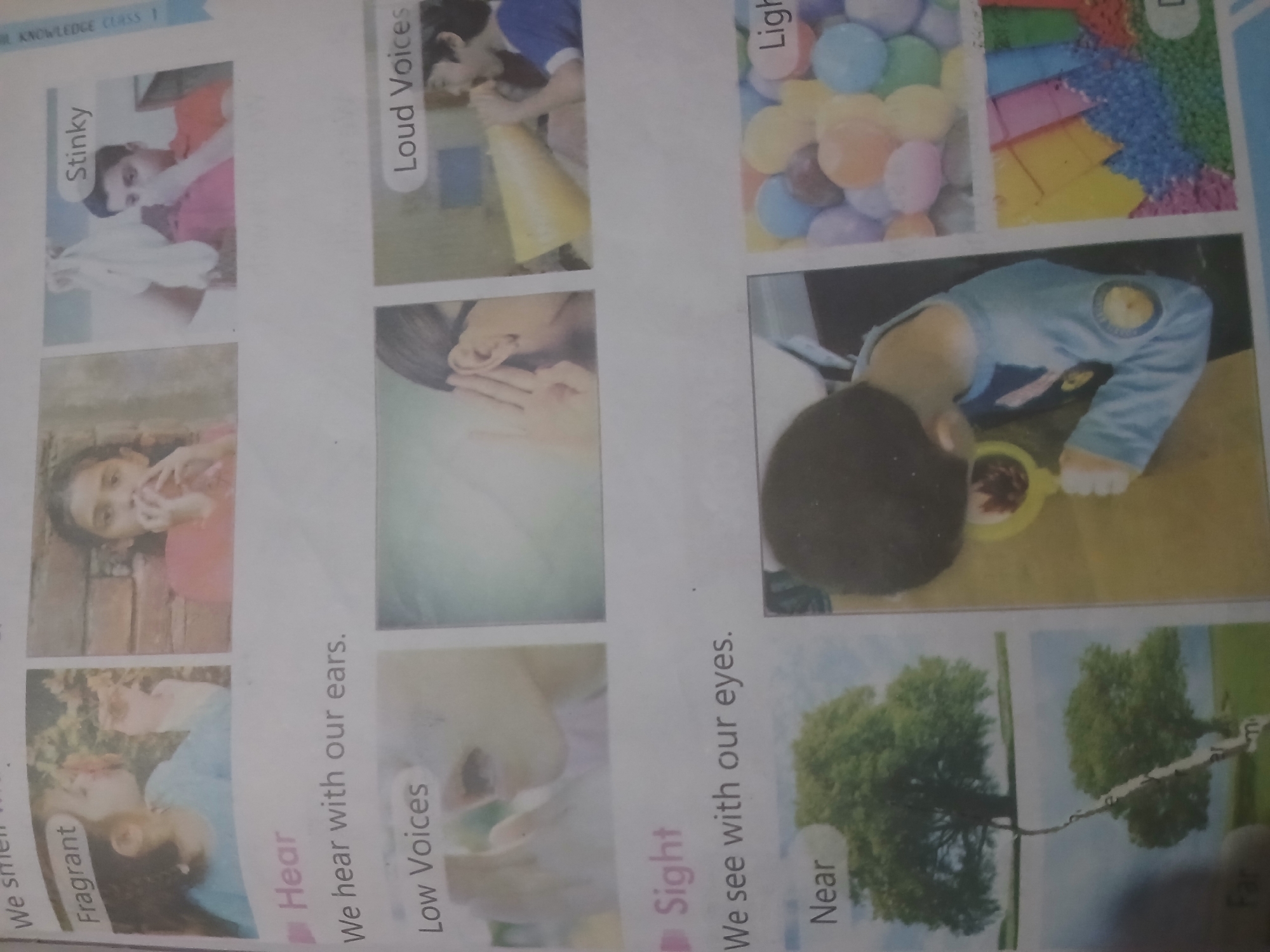 The image displays a page from a children's educational book, likely illustrating the five senses. The content is divided into sections with headings like "Fragrant," "Stinky," "Hear," "Low Voices," "Loud Voices," "Sight," "Near," and "Light." Visuals include children smelling flowers and a cloth, listening intently, and looking at objects. The page is predominantly white with colorful images and text. There are no visible elements that indicate a specific location within Peshawar City Tehsil, Pakistan, or any urban environment. The images are generic illustrations for educational purposes.