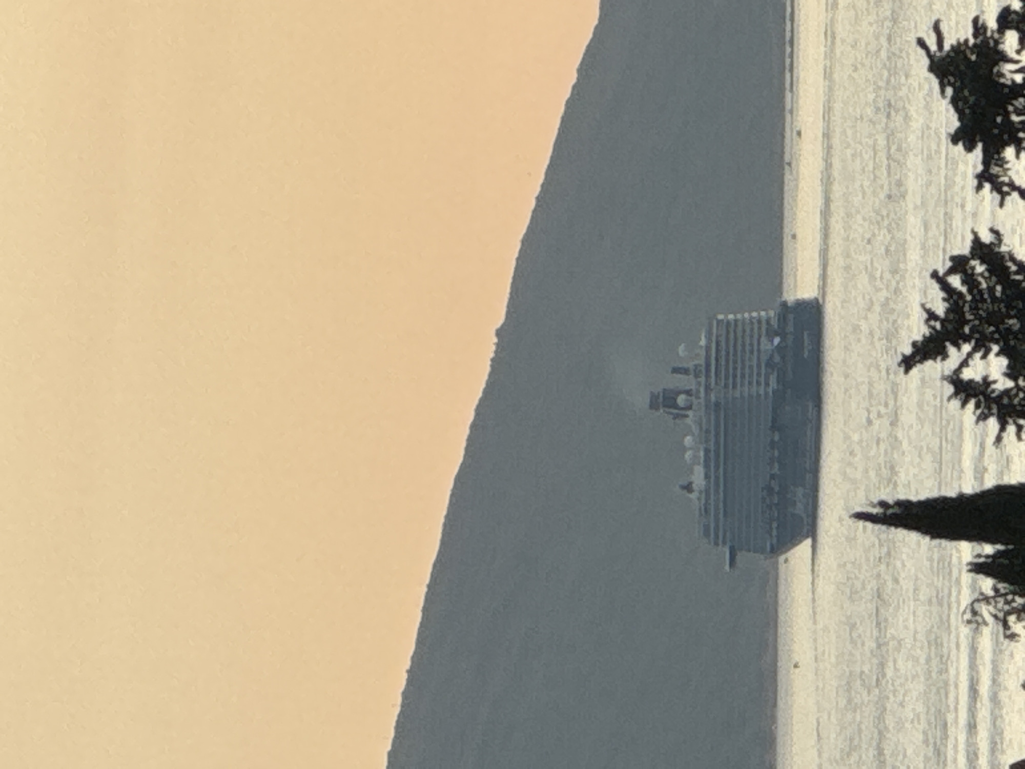 The image shows a large cruise ship sailing on a calm body of water. The ship is modern with multiple decks and visible railings. It appears to be moving, as evidenced by a faint plume of smoke or steam emanating from its upper structure.
The scene is bathed in a warm, soft light, suggesting either dawn or dusk. The sky is a pale, peachy-orange color, with no visible clouds. To the left of the ship, a large, dark hillside or mountain dominates the background, its slope meeting the water's edge. The water itself is a light, almost white color, reflecting the bright sky, and it is very still, with minimal ripples.
In the foreground, on the right side of the image, the dark silhouettes of trees are visible. Their branches create a sharp contrast against the bright water and sky, framing the scene. The overall mood is tranquil and serene, with the majestic cruise ship as the central focus against a natural, peaceful backdrop. There is no visible text in the image.