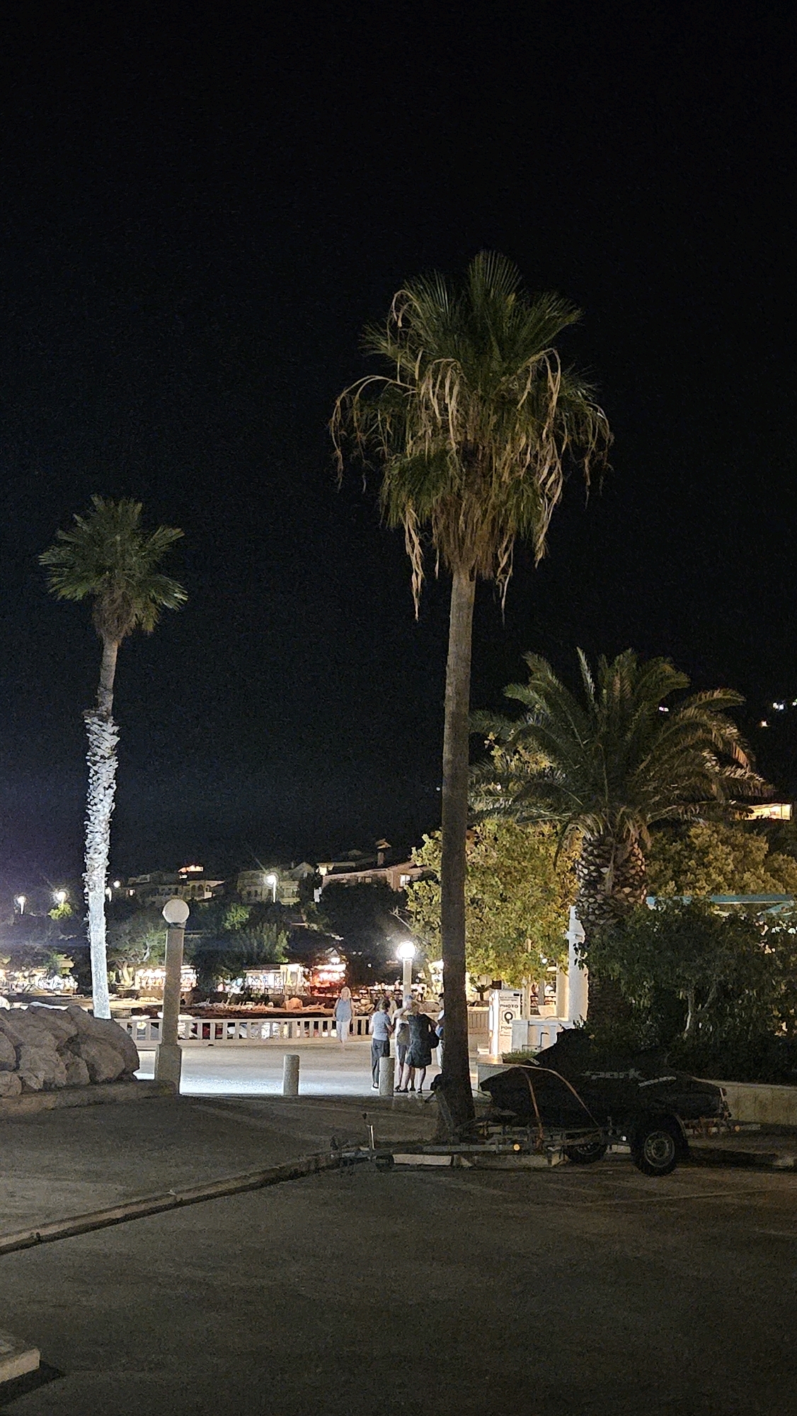 This is a night scene photograph taken in Općina Tučepi, Croatia. Two palm trees are prominent in the foreground, with a larger, more mature palm on the right and a thinner, taller one on the left. Behind them, a cluster of buildings with illuminated windows is visible on a hillside. A paved walkway runs parallel to a rocky embankment on the left. Several streetlights are present, casting pools of light. In the middle ground, a group of four people are standing near a railing. To the right of the walkway, a dark object, appearing to be a jet ski on a trailer, is parked. The overall setting suggests a coastal area at night, possibly a promenade or waterfront.