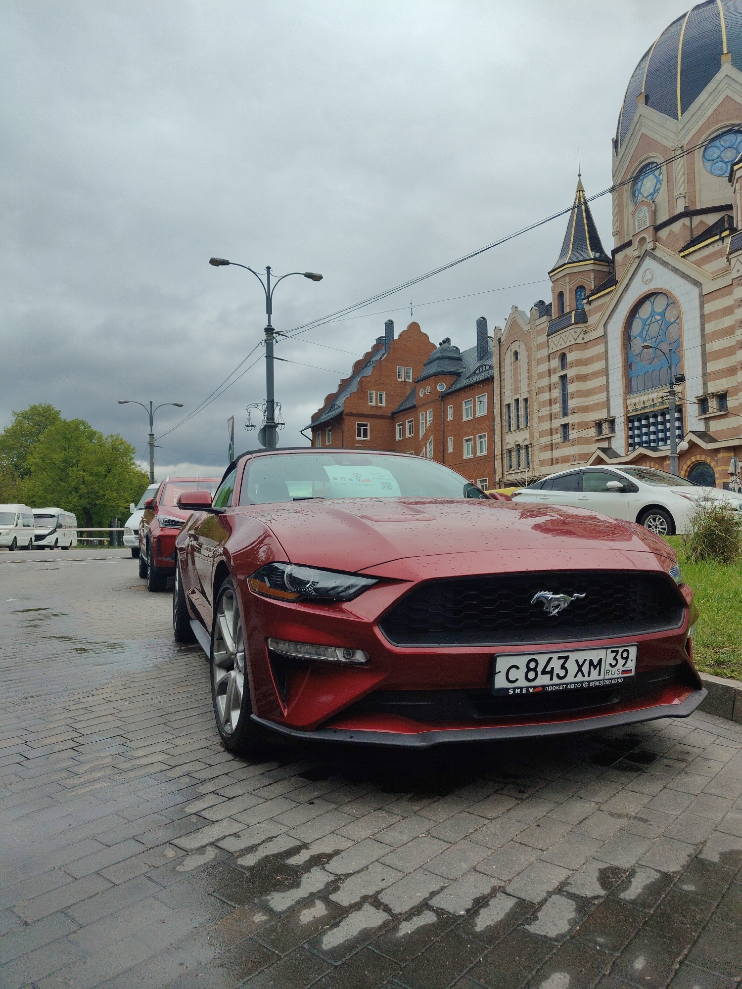 Here is a detailed description of the image:
**General Scene:** The image captures a street scene with a red Ford Mustang parked prominently in the foreground. The weather appears overcast, possibly rainy, indicated by the wet brick pavement and the sky.
**Foreground:**
* The red Ford Mustang is the focal point. The license plate reads "C843 XM 39" with "RUS" indicating Russia. Text below the license plate includes the words "SHEV" and "прокат авто" (car rental), along with a phone number "8(963)290 60 90". The car is parked on a brick-paved street.
**Midground:**
* Behind the Mustang, there are other parked cars, including a red SUV and a white car.
* A street lamp is visible.
* In the background there are various buildings, with a prominent building resembling a church or synagogue with a dome and intricate architectural details. There are also other red brick buildings.
**Background:**
* The sky is cloudy and grey.
* Some green trees are visible on the left side of the frame.
**Location:**
* The license plate on the red Ford Mustang indicates it is located in Russia. The distinct architecture in the background suggests a European city.