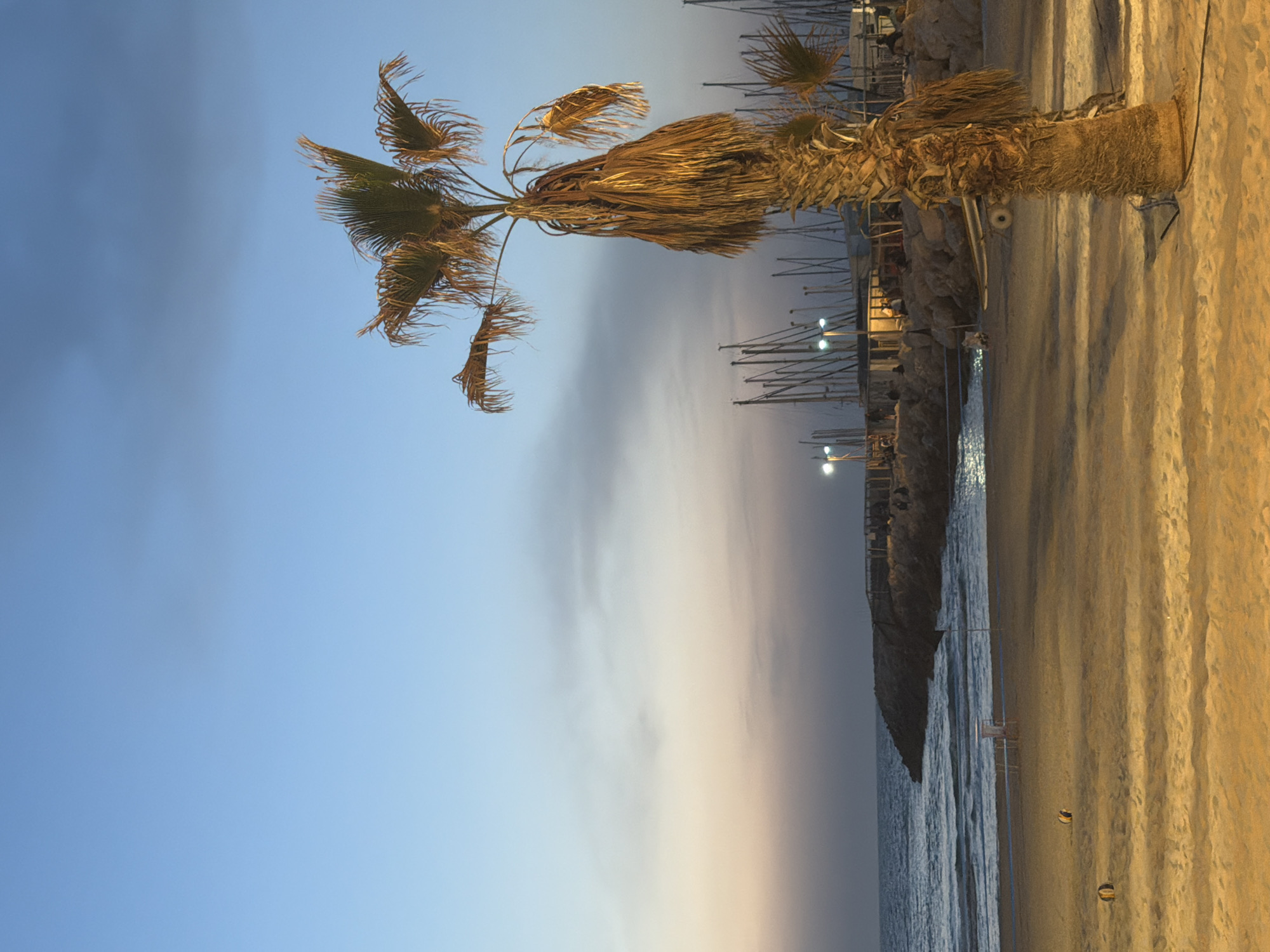 The image depicts a beach scene in Tel Aviv, Israel, at either dusk or dawn. The sky transitions from a light blue to a gradient of gray and beige towards the horizon. A single palm tree is prominently positioned in the upper section of the image. The beach itself stretches horizontally, with visible sand patterns, adjacent to the water. A breakwater structure is parallel to the shoreline, and several boat masts can be seen further along the shore, implying a marina or dock. Light fixtures are also visible near the breakwater. There are a few beach accessories set up on the beach and also people in the scene as well.