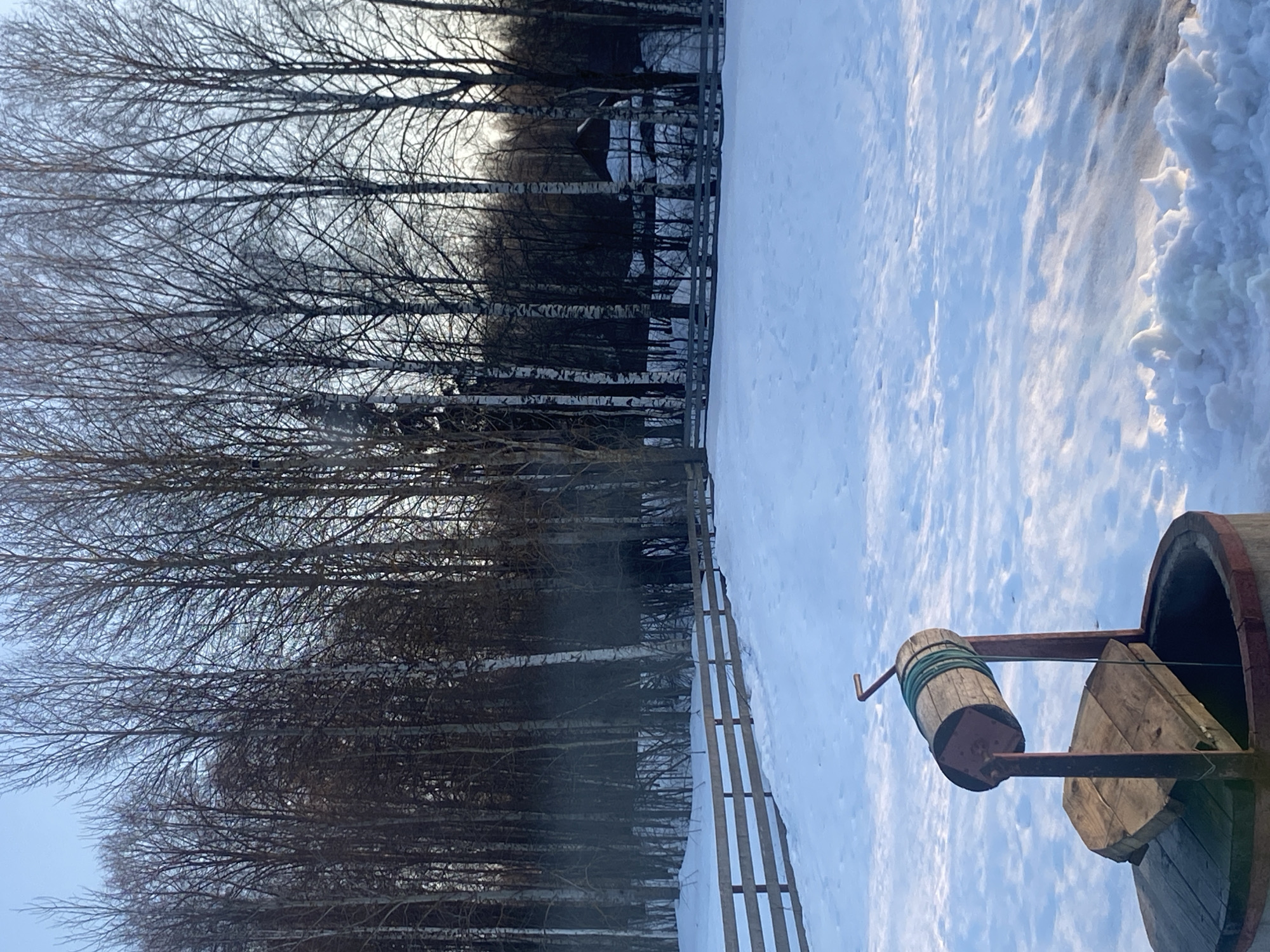 This image depicts a snow-covered winter landscape in Zhigalki, Russia. In the immediate foreground, slightly to the left, a traditional wooden well structure is present. It features a circular wellhead with a reddish rim, a partially open wooden cover, and a wooden frame supporting a horizontal wooden drum wrapped with a green rope, complete with a metal crank handle. The ground is uniformly covered in white snow, displaying minor undulations and subtle shadow patterns from ambient light. In the mid-ground, a light brown wooden fence with multiple horizontal rails extends across the scene, delineating the edge of a forested area. The background consists of a dense stand of leafless deciduous trees, predominantly tall birches with visible white bark, set against a clear, light blue sky. Towards the right side of the background, partially obscured by trees and snow, a dark-roofed building, possibly a house or shed, is visible within the treeline. No individuals, animals, or active movements are observed.