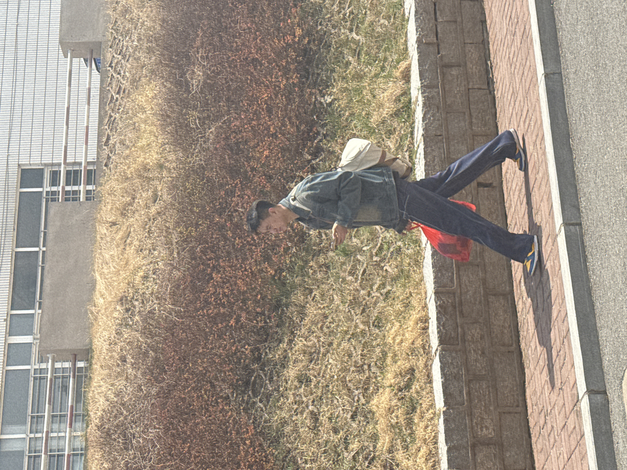 A man stands on a brick and concrete sidewalk adjacent to a large patch of dry, brown vegetation. He is wearing a denim jacket, dark pants, and sneakers with yellow accents. A tan bag is slung over his shoulder, and he carries a red bag. The man appears to be looking down. The sidewalk is bordered by a building with multiple rows of windows on the left. The scene appears to be outdoors in daylight. The location is Zhongtun, China.