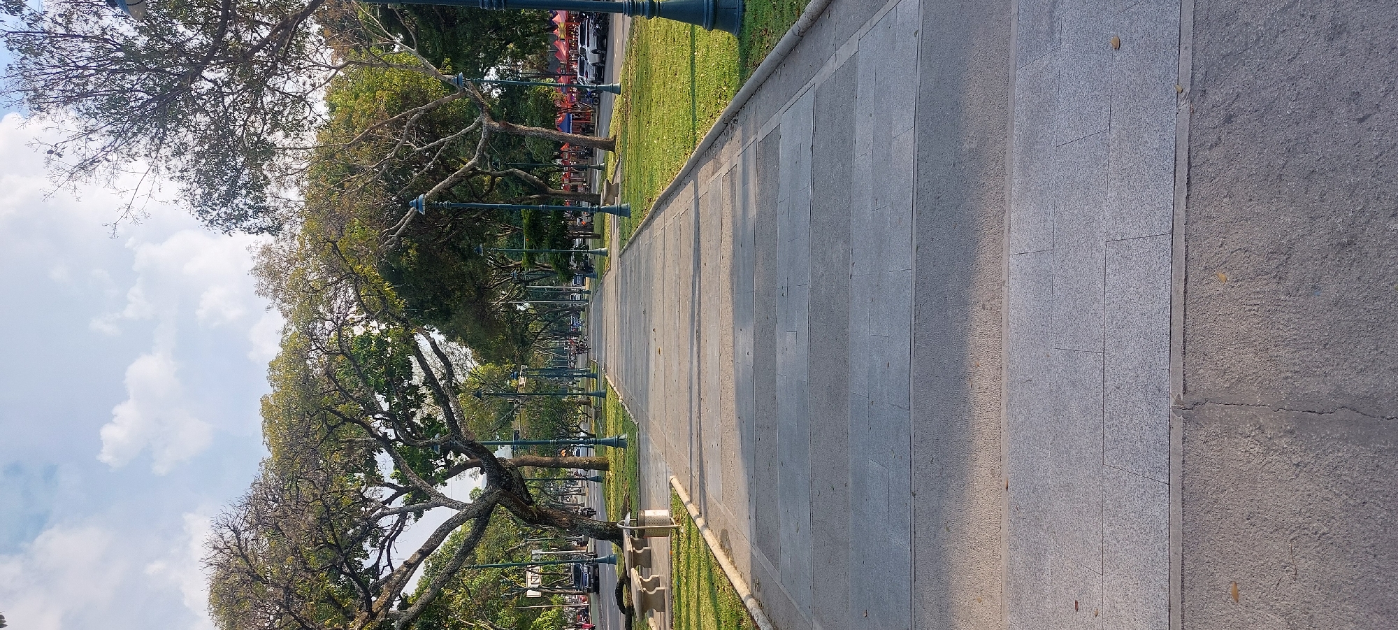 This image depicts a wide, paved pathway alongside a tree-lined public space, likely in a park or a boulevard in Caracas, Venezuela. The pathway, constructed from light-colored, rectangular stone tiles, recedes into the distance, showing signs of use and minor cracks. Long shadows are cast across the path, suggesting either early morning or late afternoon sun.
To the immediate right of the pathway is a narrow strip of well-maintained green grass. Beyond the grass, a continuous line of mature trees stands tall, featuring prominent trunks and branches. Some trees are densely covered with green leaves, while others display a more sparse, gnarled appearance. Regularly spaced dark green lampposts, designed with ornate details, are positioned among these trees.
Further beyond the trees, elements of an urban setting become visible, including glimpses of parked or moving vehicles on what appears to be a road. In the mid-ground, behind the trees, there are colorful structures that suggest market stalls or vendor establishments. Near the foreground, adjacent to the pathway and a tree, a light-colored trash receptacle and matching benches are present.
The upper portion of the image reveals a clear blue sky dotted with scattered white clouds, indicating fair weather. The scene is devoid of clearly identifiable people or specific activities, conveying a sense of peacefulness and quiet. No visible text is discernible within the image.