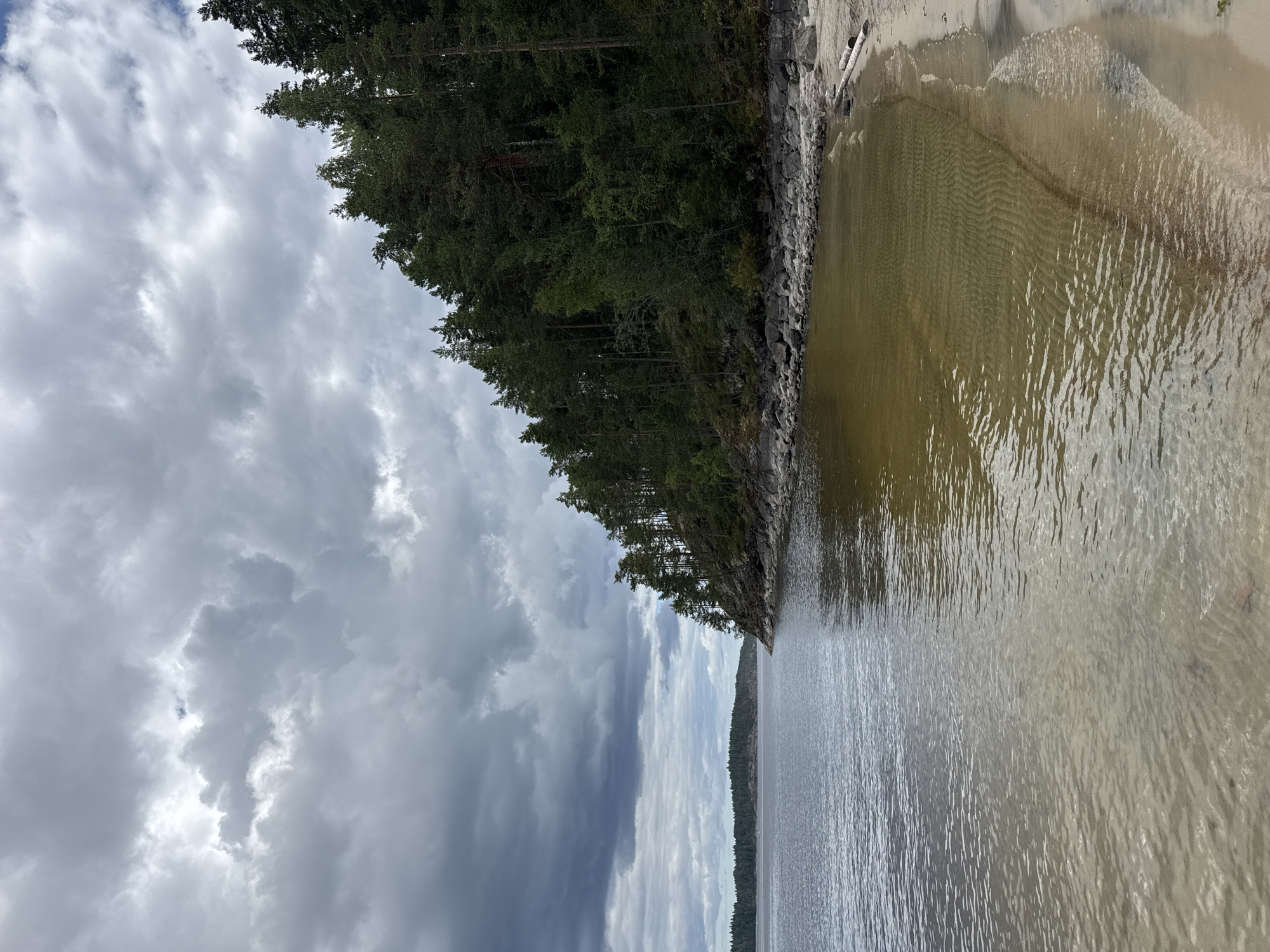 This image depicts a serene, natural landscape in Sorola, Russia. The scene is dominated by a large body of water, likely a lake or bay, with a shoreline characterized by a sandy beach and rocky outcrops. A dense forest of pine trees covers a sloping hill that borders the water. The sky is overcast with dramatic, dark clouds, suggesting a storm may be approaching or has recently passed. The water is calm, reflecting the muted light from the sky. There are no people or man-made structures visible, emphasizing the untouched, natural beauty of the location. The overall impression is one of tranquility and the raw power of nature.