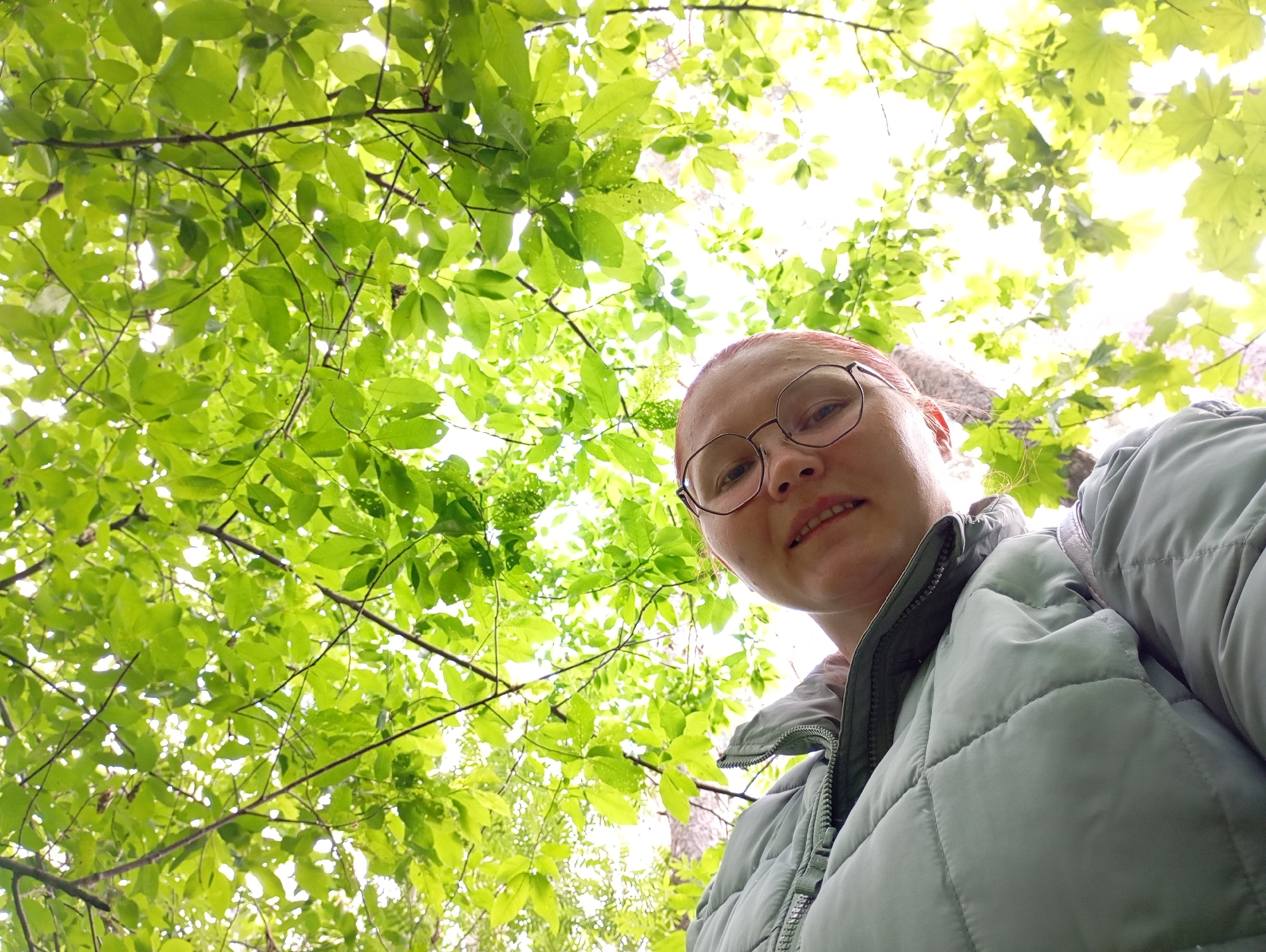 This image is a low-angle selfie, capturing a person from below against a backdrop of a lush tree canopy. The subject, a woman, is visible in the lower right quadrant of the frame, looking directly into the camera. She has light-colored hair, possibly red or light brown, and wears round, wire-rimmed glasses. She is dressed in a light-colored, likely pale grey or light green, quilted jacket with a zipped collar. Her expression is neutral to slightly smiling.
The majority of the image is filled with vibrant, bright green deciduous leaves, suggesting early summer or spring foliage. Thin tree branches are interspersed among the leaves. Bright patches of sky are visible through the canopy, indicating clear weather and a sunny daytime setting, which backlights the leaves and enhances their fresh color. The setting is an outdoor natural environment, such as a forest or park, located in Chaikovsky, Russia. There is no visible text in the image.
