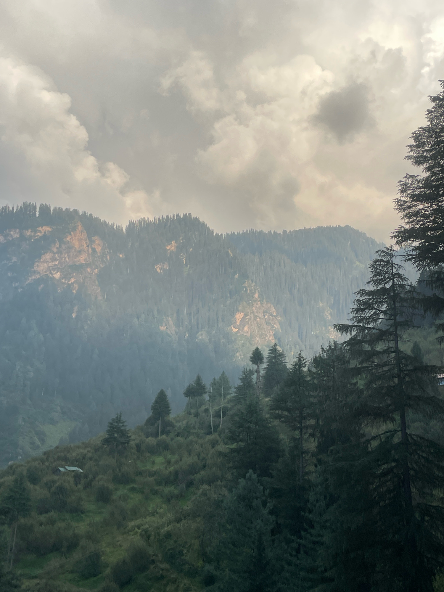 The image depicts a misty mountainous landscape in Jana, India. The foreground is dominated by a dense forest of tall, dark green pine trees, with some of their branches silhouetted against the sky. A small, light-colored structure with a peaked roof, possibly a shed or a small dwelling, is visible nestled on a green, tree-covered slope in the mid-ground. Beyond this, a vast mountain range stretches into the distance, its slopes covered in a thick carpet of evergreen trees. Patches of exposed rock, tinged with a warm, orange hue, punctuate the forested slopes of the mountains. The sky above is filled with heavy, grey clouds, with some areas appearing brighter, suggesting diffused sunlight breaking through. The overall atmosphere is one of natural beauty and serene wilderness, with a touch of mystery due to the mist.