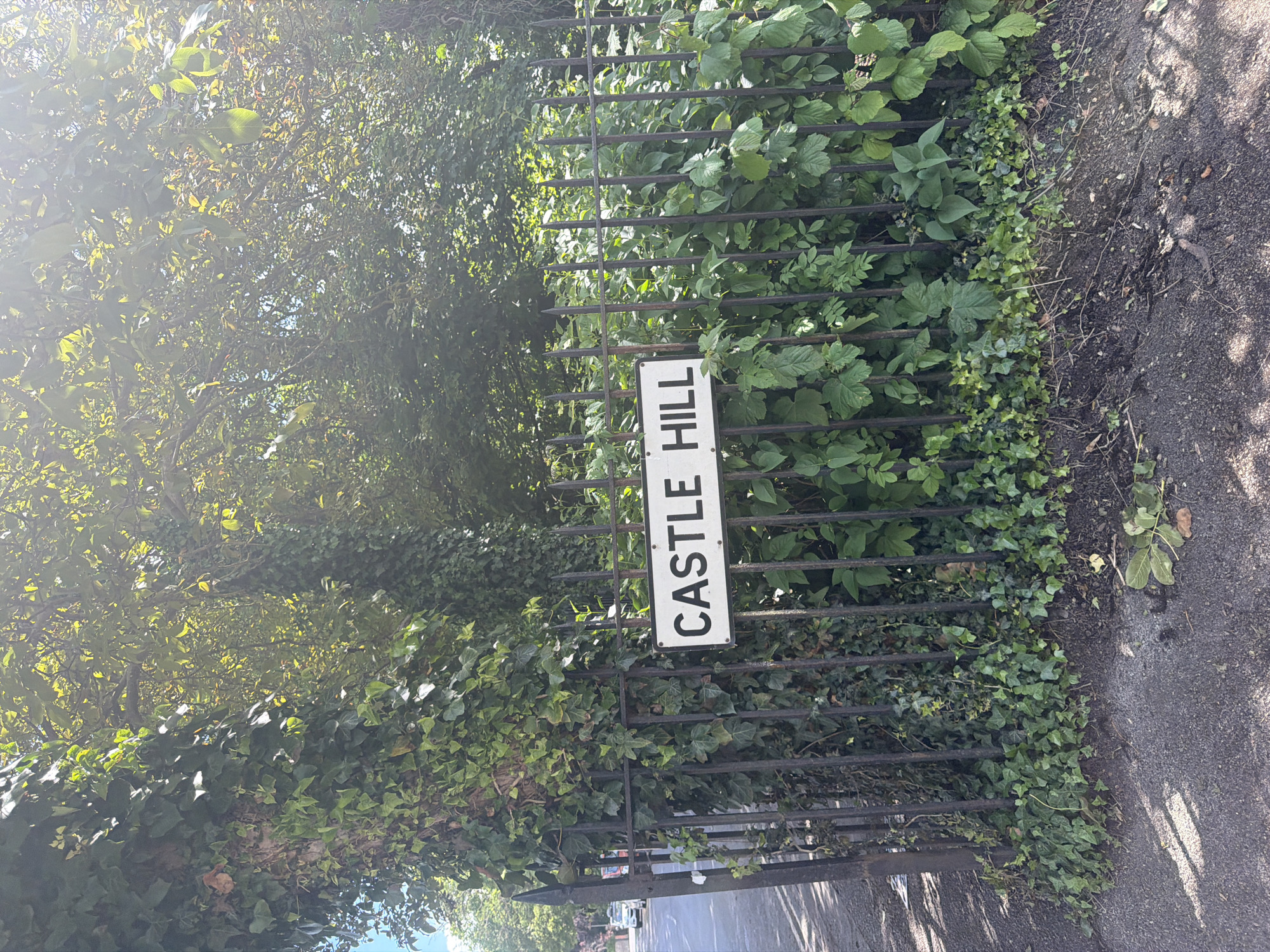 The image shows a street sign reading "CASTLE HILL" attached to a black metal fence. The fence is overgrown with green foliage, including ivy and other plants. The sidewalk runs along the right side of the fence, and trees and more foliage are visible on the left side. In the background, a street and cars can be seen. The location is Guildford, United Kingdom.