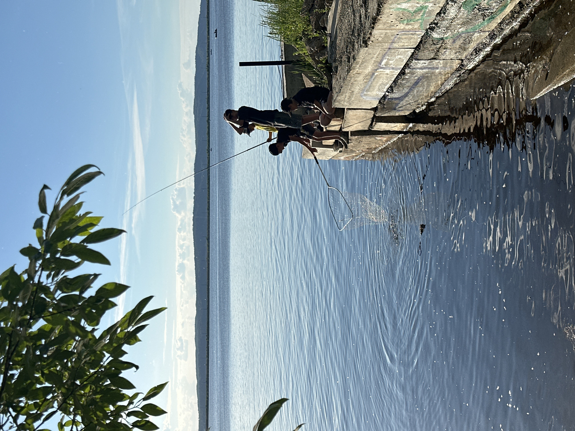 Four individuals, appearing to be young males, are engaged in fishing from a concrete embankment on the Kama River in Chaikovsky, Russia. Two are actively fishing with rods, one is holding a fishing net, and the fourth is seated on the embankment. The sun is shining, casting reflections on the water, and the sky is blue with some scattered clouds. The embankment is weathered and shows signs of graffiti. The surrounding environment includes water, a distant treeline, and vegetation growing on the embankment.