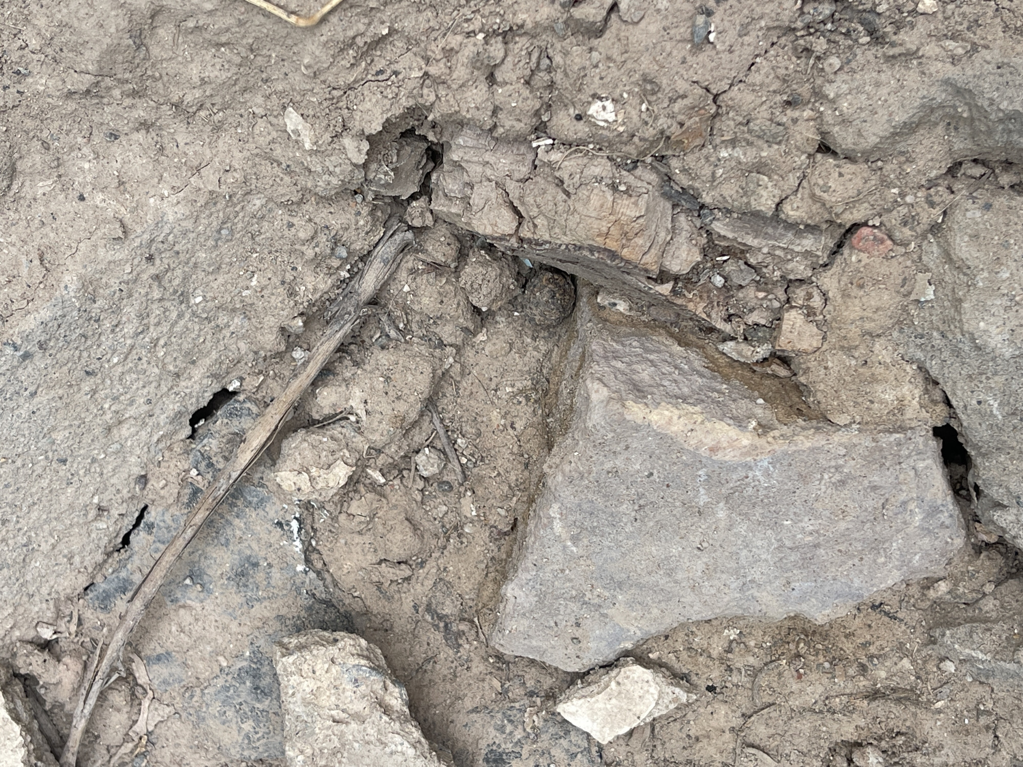 The image shows a close-up view of cracked and disturbed earth, likely a ground surface. The ground is a mix of dirt, small rocks, and some debris, with a dark, possibly rubber or plastic, material partially visible beneath the cracked surface in the lower left and central areas. Several pieces of broken concrete or stone are embedded in the dirt. A dry, thin twig or piece of plant material lies diagonally across the scene, passing through a section of the fractured ground.
The setting appears to be outdoors, given the natural elements of dirt and stone. There are no people or specific activities depicted. The lighting suggests it could be daytime, but there are no clear indicators of time of day or weather. The location context of Bishkek City, Kyrgyzstan, provides a general geographical setting, but the image itself lacks specific identifying landmarks. There is no visible text in the image. The overall impression is one of decay or disrepair of a ground surface.