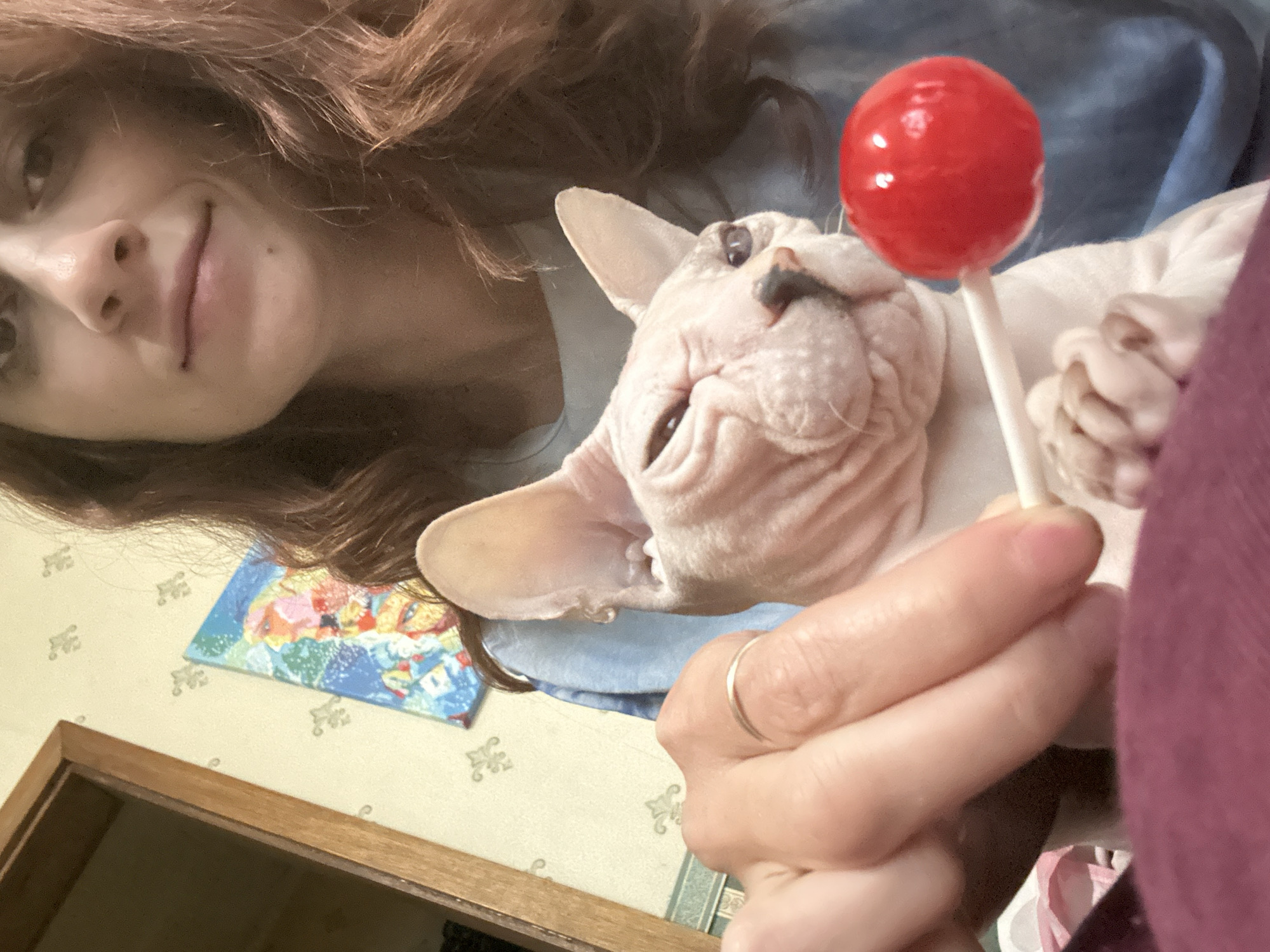The media file shows a close-up, selfie-style shot of a person holding a Sphynx cat. The person, whose face is partially visible in the upper left of the frame, has long, reddish-brown hair and appears to be smiling faintly. The Sphynx cat, the primary subject, is held in the person's arms and is looking upwards. A bright red lollipop is held between the person's fingers and the cat's mouth, suggesting the cat is about to lick or is being offered the candy.
The cat has characteristic wrinkled skin and large ears. The person is wearing a blue shirt, and a portion of a maroon garment is visible on the right side of the frame. In the background, there is a wall with a patterned wallpaper and a small, colorful image or sticker. A wooden door frame is also visible in the lower left corner, indicating an indoor setting. The overall lighting suggests it could be daytime, but no specific time is discernible. The image conveys a playful and affectionate interaction between the person and the cat. No visible text is present in the media file.