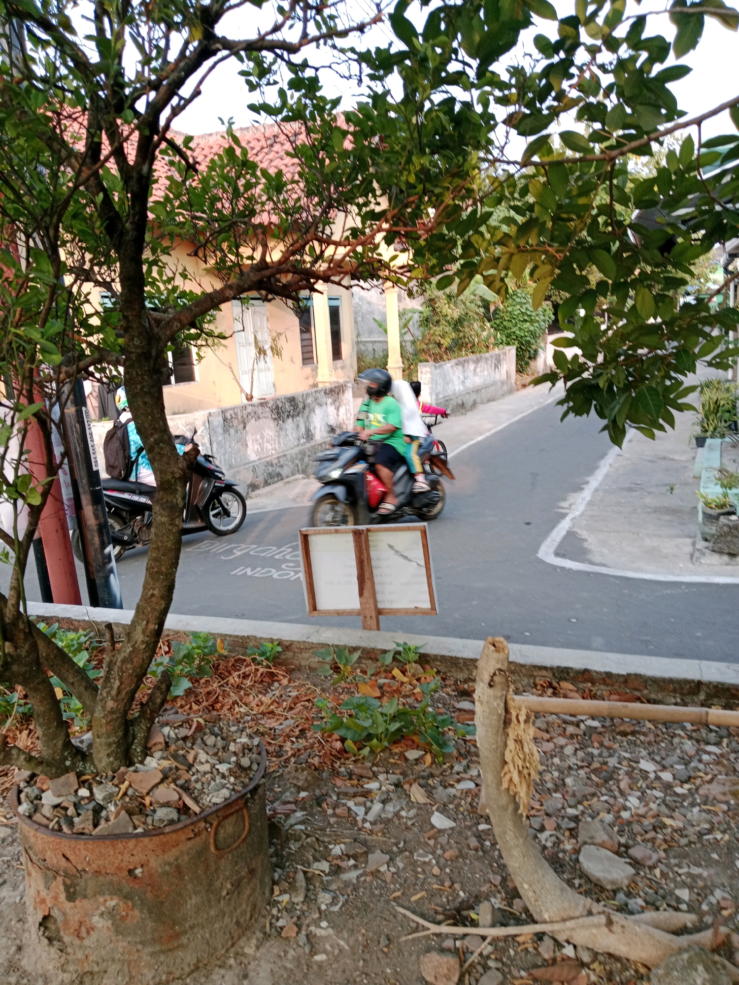 This is a medium-shot, eye-level, outdoor photograph taken in Waru, Indonesia. The scene depicts a street with two motorcycles driving on it. In the foreground, a large tree with green leaves is partially obscuring the view. The tree is planted in a rusty, round metal pot filled with gravel and broken ceramic pieces. To the right of the tree, a wooden sign with a white paper is propped up by two thin wooden posts.
On the street, a dark-colored motorcycle is being ridden by a person wearing a white helmet and a blue and white patterned backpack. The motorcycle is moving away from the viewer. Further down the street, another motorcycle is visible, with a person in a green shirt and black shorts wearing a black helmet. This motorcycle is also moving away from the viewer, with a passenger in a pink top and blue pants sitting behind the rider.
The background features buildings with orange tiled roofs and light-colored walls. A concrete barrier lines the side of the street, and vegetation, including grass and fallen leaves, is present on the ground. The overall environment suggests a residential street with a naturalistic, slightly unkempt aesthetic. The lighting indicates it is daytime, possibly late afternoon, with the sun casting a warm glow.