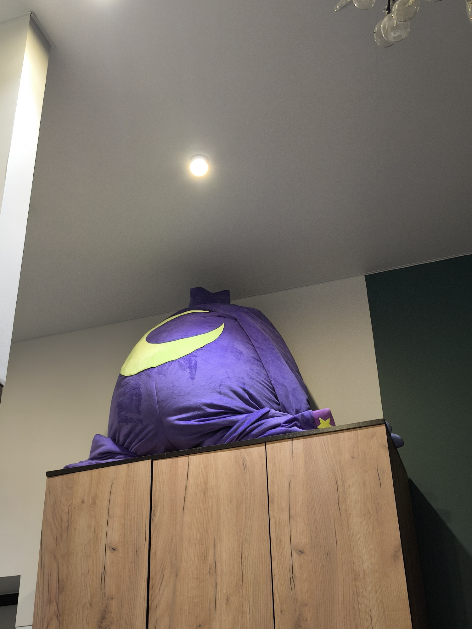 The image shows a large, purple, stuffed toy placed on top of a wooden cabinet. The toy has a yellow crescent moon design on its back. The cabinet has a light wood grain finish. The background includes a white ceiling with a recessed light, and a dark green wall on the right side of the frame. The location is Moscow, Russia.