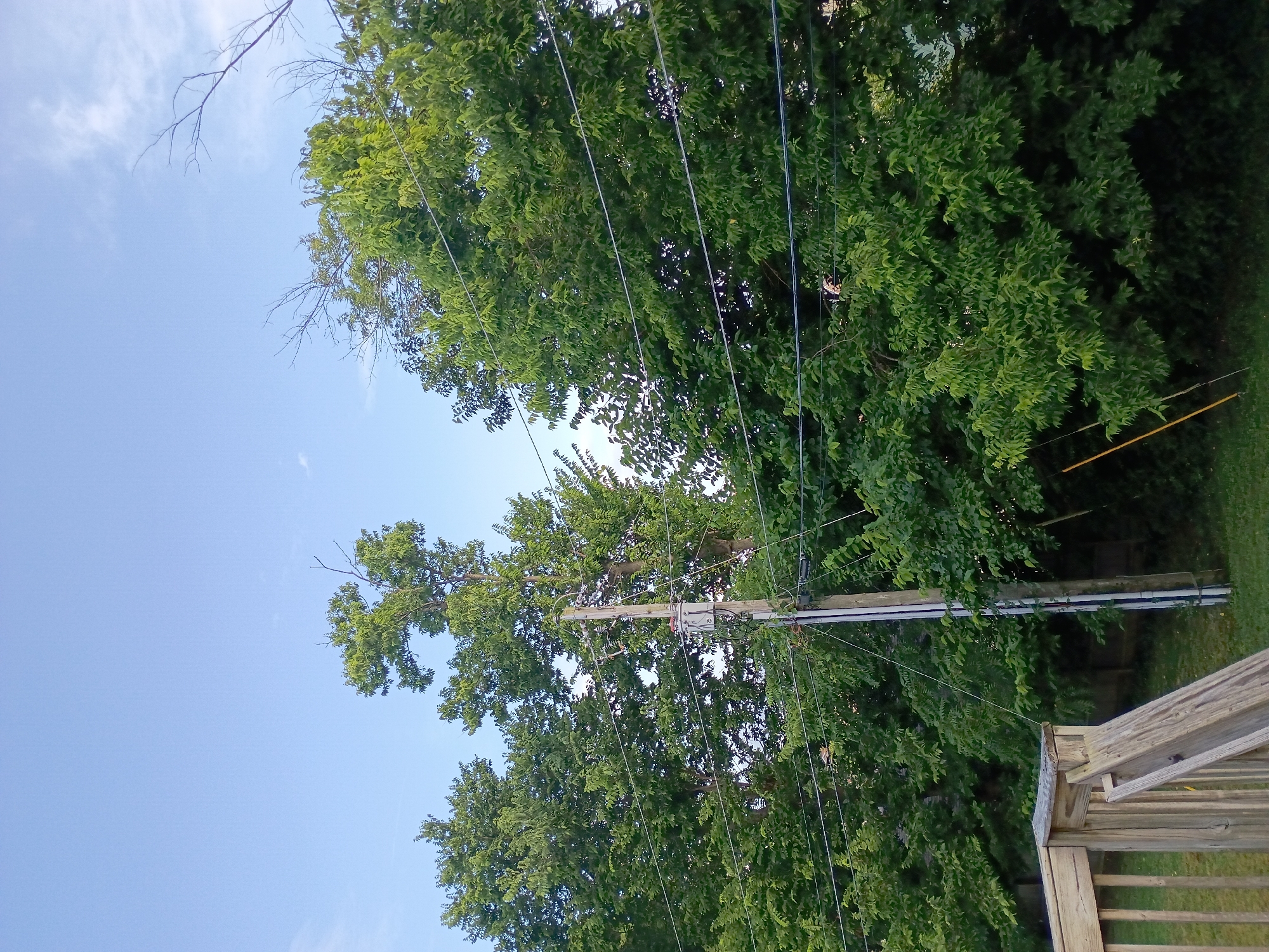 The image shows a daytime exterior view of a residential area, likely in Nicholasville, United States of America. In the foreground, a wooden deck railing and part of a wooden ramp are visible on the left side. A utility pole with electrical equipment, including what appears to be a transformer, stands in the center of the image. This pole is surrounded by dense green foliage from multiple trees. Several horizontal electrical wires are strung across the scene, passing through the trees and in front of the utility pole. The background consists of a clear blue sky with a few wispy clouds. The overall scene suggests a typical suburban or semi-rural environment with overhead power lines and mature trees.