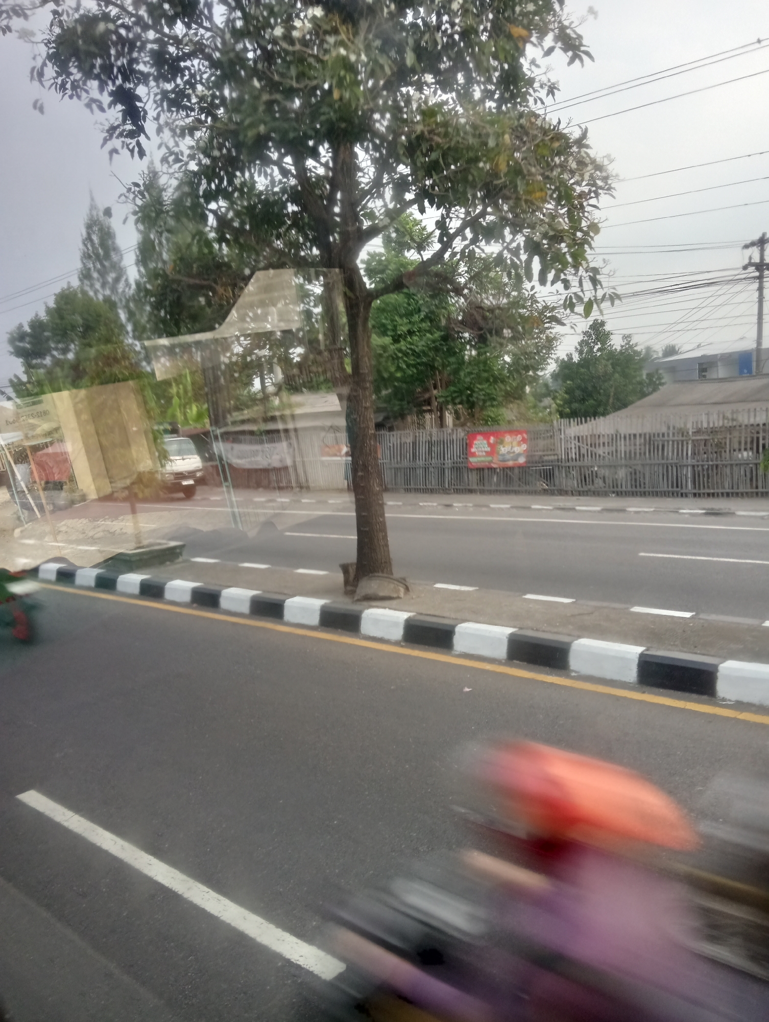 The image depicts a street scene in Danurejo, Indonesia, viewed through what appears to be a vehicle's window, indicated by reflections on the surface. A tree with dense foliage stands prominently on the right side of the frame. The road, marked with white lines and a yellow line along the shoulder, runs horizontally across the lower portion of the image. A curb with alternating black and white painted sections separates the road from a sidewalk or verge.
In the background, a beige building with a light-colored roof is visible behind a wooden fence. A red and yellow sign is affixed to the fence. Power lines crisscross the sky, supported by a utility pole on the far right. A white van is parked on the side of the road, reflected in the glass. In the foreground, a blurred motion of a person on a vehicle, possibly a motorcycle or bicycle, is visible, with an orange umbrella or object and a purple garment. The sky is overcast and a light gray. The overall scene conveys a sense of movement and everyday life on a street.