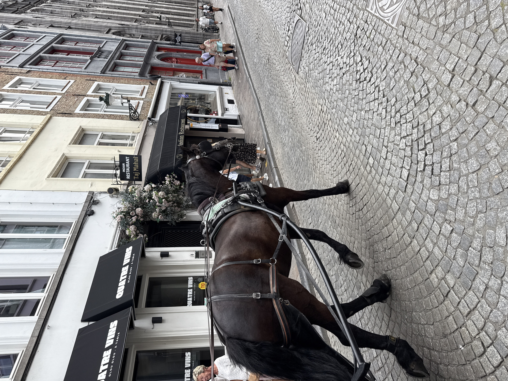 A brown horse pulls a carriage down a cobblestone street in Bruges, Belgium. The horse is wearing a harness and the carriage is out of frame to the left. In the background, there are several buildings with shops and restaurants. One shop has awnings that say "QUATRE VINS." Another building has a sign for "Taj Mahal Indian Restaurant." Several people are walking on the sidewalk and crossing the street. The street is paved with cobblestones and there is a manhole cover in the road. The buildings are typical of Bruges, with tall, narrow facades and red-tiled roofs.