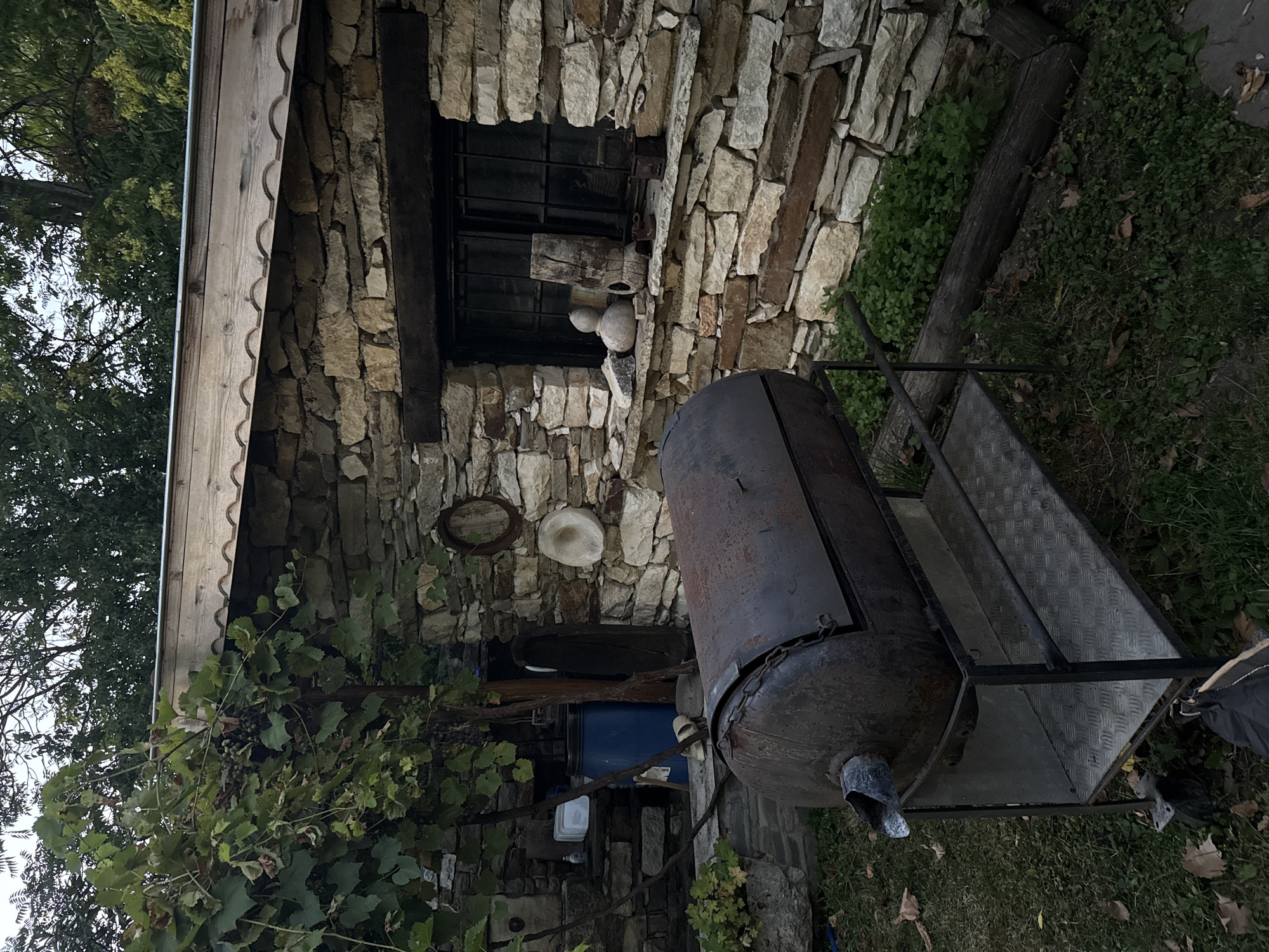 The image depicts an outdoor scene in a village setting, likely in Petrevene, Bulgaria. In the foreground, a large, rusty, barrel-shaped smoker is situated on a metal cart with wheels. The smoker is positioned on a grassy area with fallen leaves. To the left of the smoker, a grape vine with clusters of dark grapes is growing.
Behind the smoker, a stone building with a wooden roof overhang is visible. The building has a dark-grated window on its facade, and the windowsill is adorned with several objects, including gourds, a piece of wood, and what appear to be old scales. To the left of the building, partially obscured, are a blue barrel and white plastic containers, suggesting utilitarian storage.
The overall environment appears to be rustic and somewhat overgrown, with trees and foliage visible in the background. The lighting suggests it is either early morning or late evening. There are no people visible in the image.