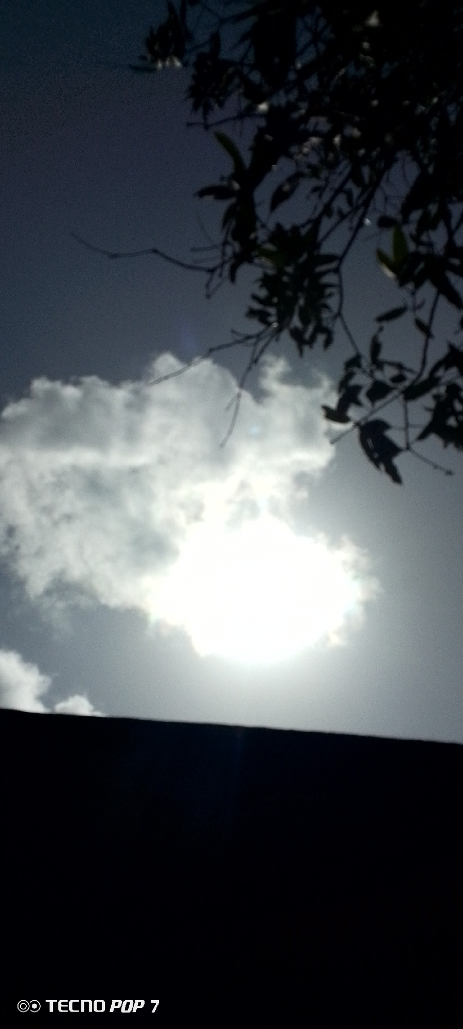 The image depicts a sky view, possibly taken from a low vantage point. The sky is overcast with white clouds obscuring the sun, causing glare. Tree branches and leaves are visible in the upper right corner, appearing dark in silhouette. The lower portion of the image is dark, obscuring any identifiable foreground details. The text "TECNO POP 7" is visible at the bottom. The location is reported to be Altagracia, Venezuela, but no specific landmarks confirm this.