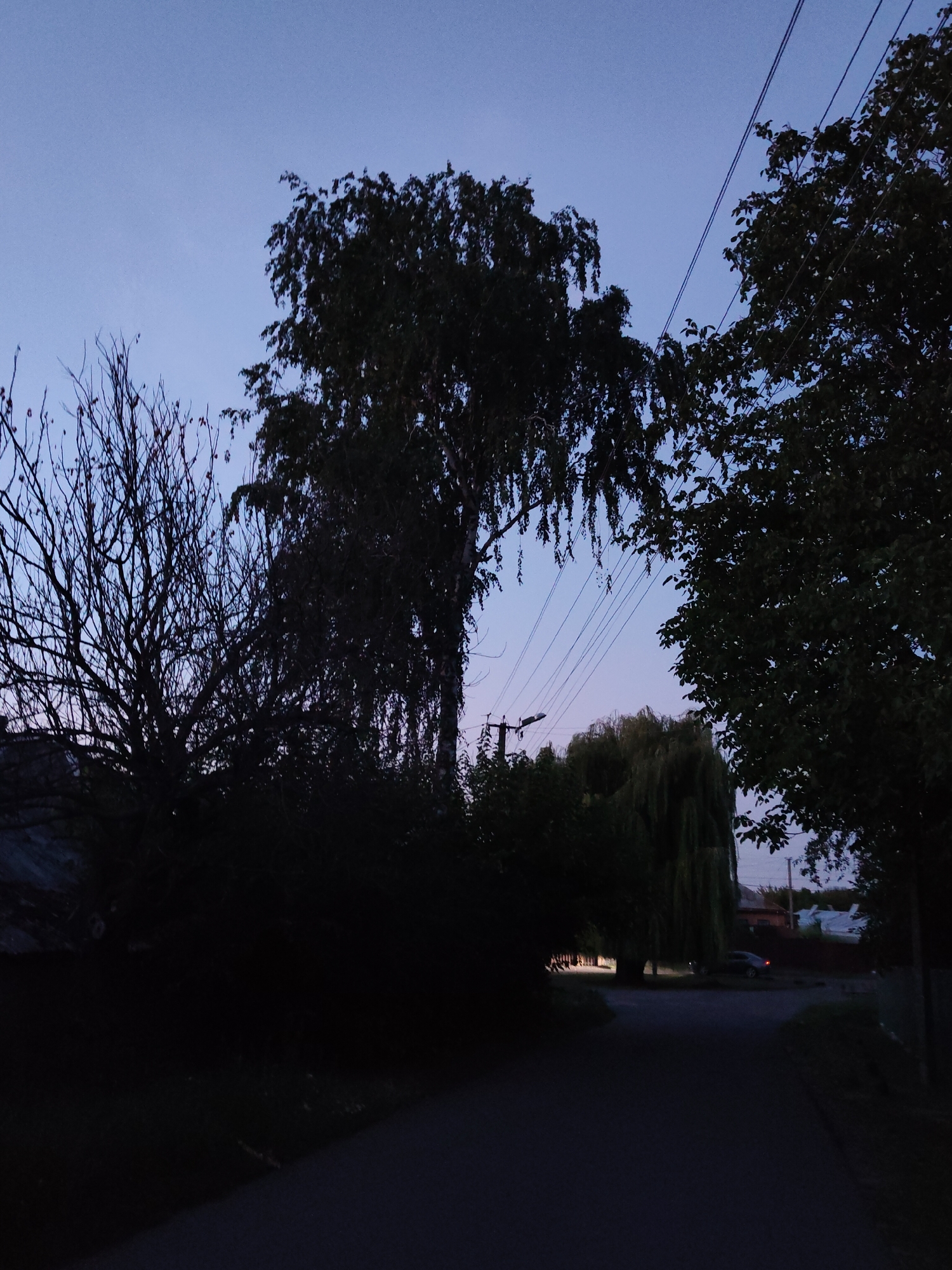 The image depicts a dimly lit street scene at dusk, likely in the city of Cherkasy, Ukraine. In the foreground, a paved road curves gently to the right, disappearing into shadow. To the left, a bare-branched tree stands silhouetted against the twilight sky. In the mid-ground, a large deciduous tree with drooping branches dominates the center, its foliage dark against the lighter sky. Further back, a weeping willow tree is visible, its distinctive form outlined by a faint light. A small dark-colored car is parked near the willow. The background shows hints of residential buildings with some lights on. Overhead, power lines stretch across the frame, crisscrossing between trees. The sky is a gradient of deep blue fading to a lighter hue near the horizon.