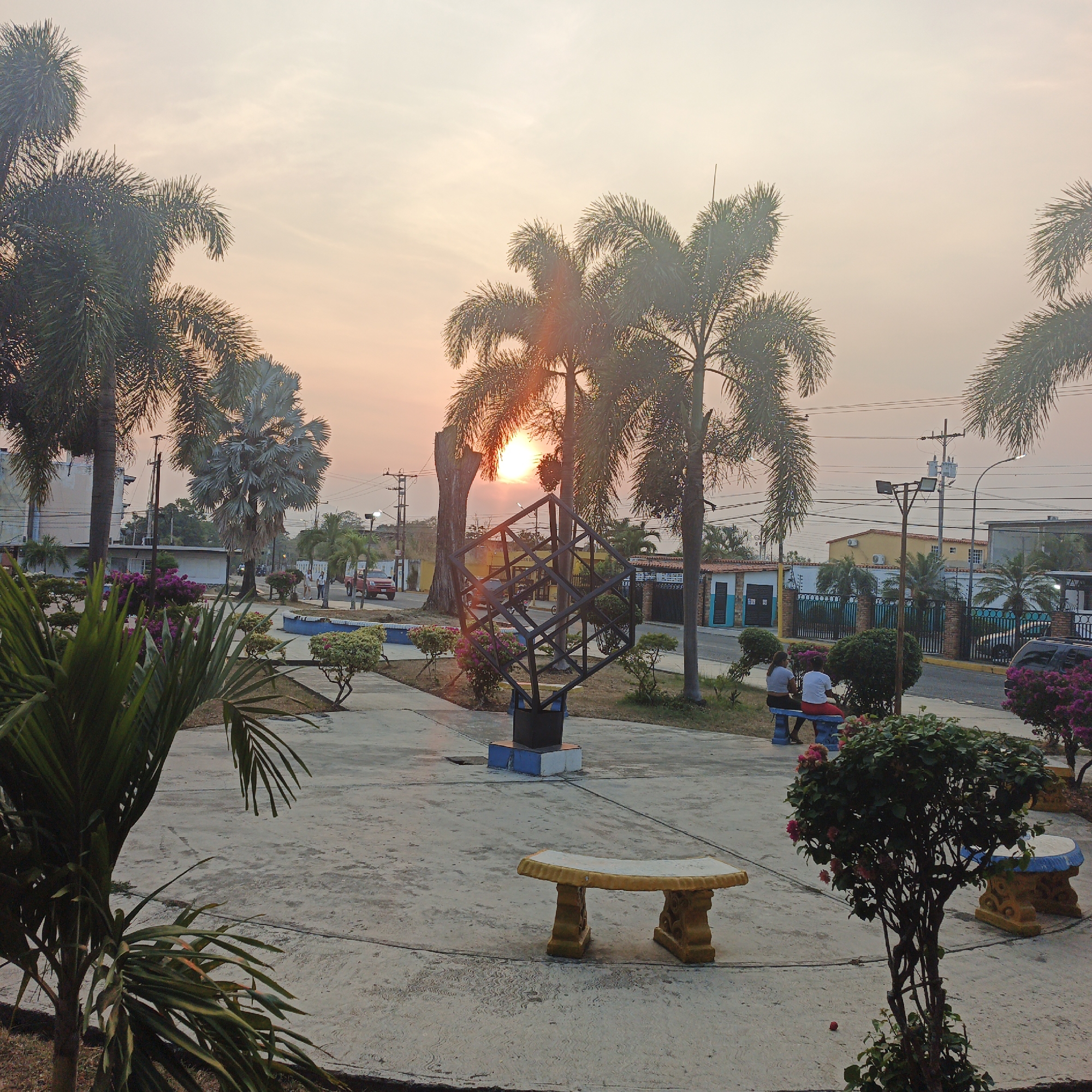 The image depicts a public park or plaza in Tinaquillo, Venezuela, at sunset. The sun is low on the horizon, casting an orange glow across a hazy sky, visible through the fronds of numerous palm trees that dominate the upper and mid-portions of the frame.
In the immediate foreground, a small green plant is partially visible on the left. A curved concrete pathway forms the ground plane, with patches of dry grass and scattered foliage. A yellow-painted concrete bench with a white seat is positioned centrally on a concrete slab.
In the midground, a prominent black metal geometric sculpture, resembling a skeletal cube or tesseract, stands on a blue and white square base. It is surrounded by small bushes featuring pink and purple flowers. To the right of the sculpture, two individuals are seated on a blue-seated concrete bench. One person wears a white shirt and red pants; the other wears a white top and dark pants. They are oriented towards the right side of the frame. Further right, another round, blue-topped concrete table or bench is visible.
The background reveals a paved street running parallel to the park. A red pickup truck is visible on the street, facing left. Several single-story and multi-story buildings with various architectural styles and fences line the street. Utility poles with power lines, transformers, and a streetlamp are interspersed along the roadside. Additional palm trees and other dense foliage are visible behind the buildings and along the street. Two indistinct figures are discernible on the street near the red truck.