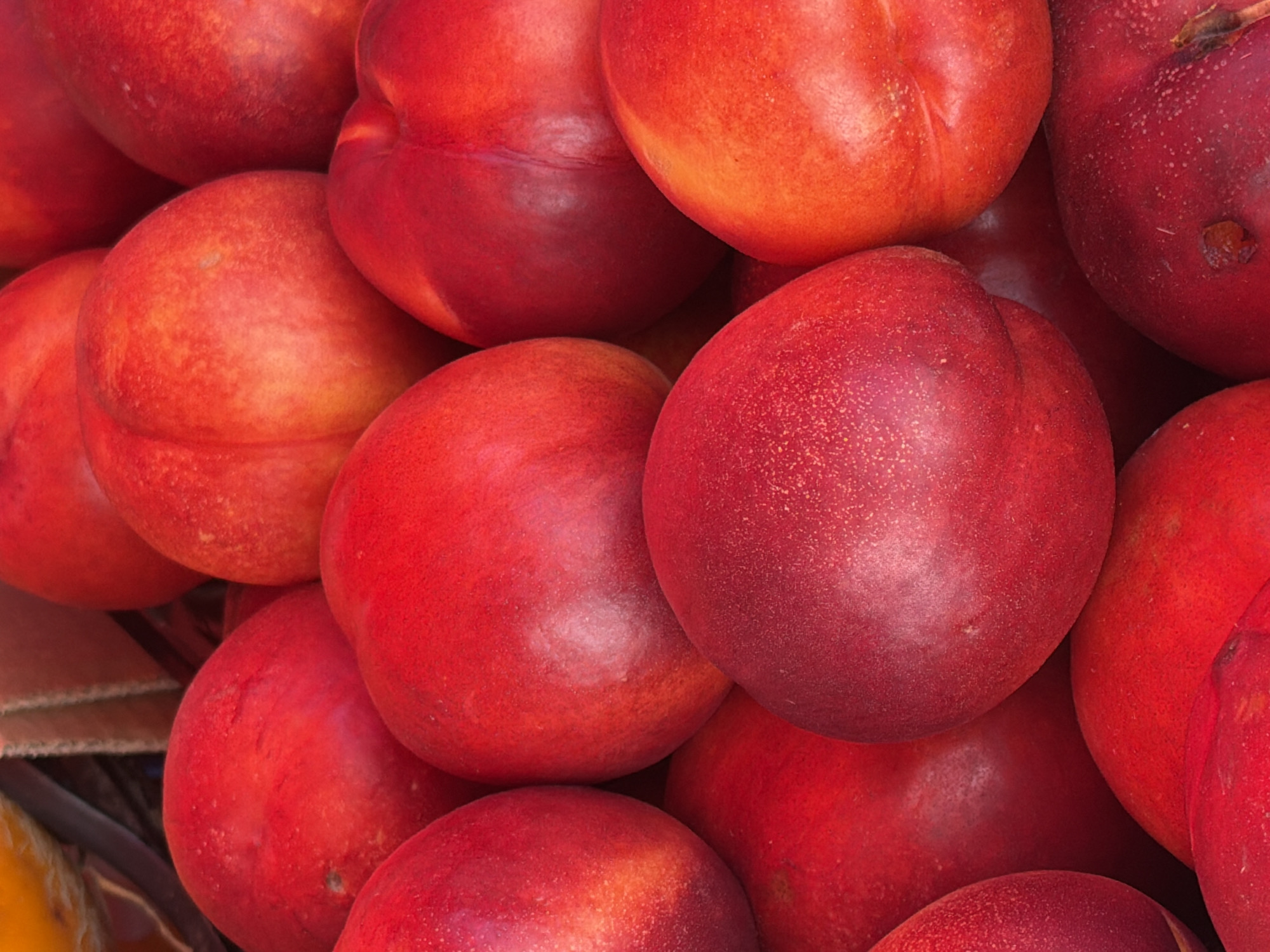 This is a close-up, top-down photograph of a pile of ripe nectarines. The nectarines are predominantly a vibrant red color, with some exhibiting streaks of orange and yellow. They are round and smooth-skinned, with a visible crease running down the side of many of them, indicating their segmentation. The fruits are packed tightly together, obscuring much of the background, though hints of a brown crate or basket are visible at the very top. The lighting suggests an outdoor setting, possibly a market stall. There are no people, animals, or discernible landmarks that would indicate a specific location within Minsk, Belarus. The image is focused on the texture and color of the fruit.