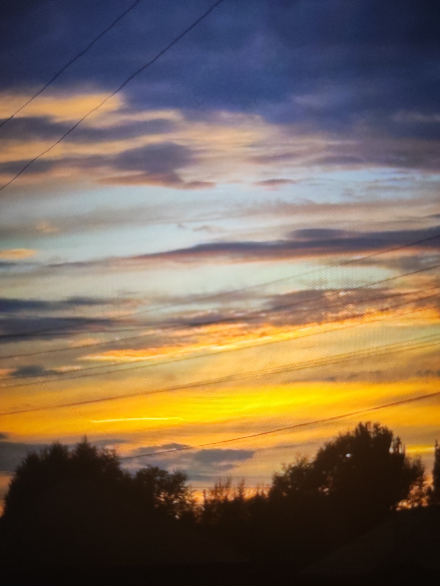 The image depicts a dramatic sunset over Bökönbaev, Kyrgyzstan. The sky is ablaze with vibrant colors, transitioning from deep blues and purples at the top to fiery oranges and yellows near the horizon. Wispy clouds are scattered across the sky, catching the light and creating a textured effect. Several power lines stretch horizontally across the frame, silhouetted against the colorful sky. In the foreground, the dark silhouettes of trees and foliage form a dense line along the bottom of the image, suggesting a natural landscape or park. The overall impression is one of natural beauty and the grandeur of the evening sky.