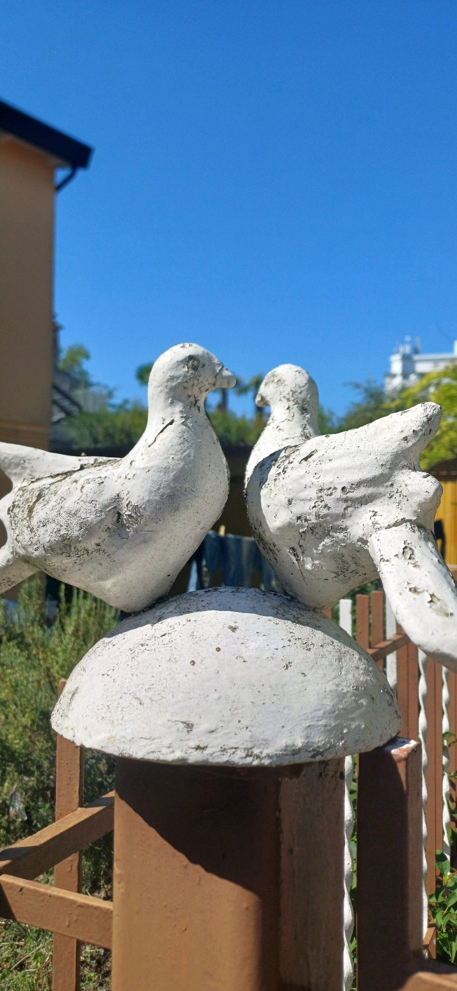 Two weathered white ceramic doves, each with chipped paint, are positioned facing each other on top of a rounded, light-colored object. The dove on the left is slightly more visible, showing its profile with its beak pointed towards the other dove. The dove on the right is partially obscured by the other and the rounded object it sits on. The doves appear to be part of an outdoor decoration, possibly on a railing or a pedestal, indicated by the brown metal structure visible beneath the rounded object. In the background, a clear blue sky dominates the upper portion of the image. To the left, the edge of a building with a dark roof is visible. Further in the background, there are green trees and foliage, and a glimpse of a white building with multiple windows. The overall scene suggests a sunny day in a residential or garden setting. The location is Abano Terme, Italy.